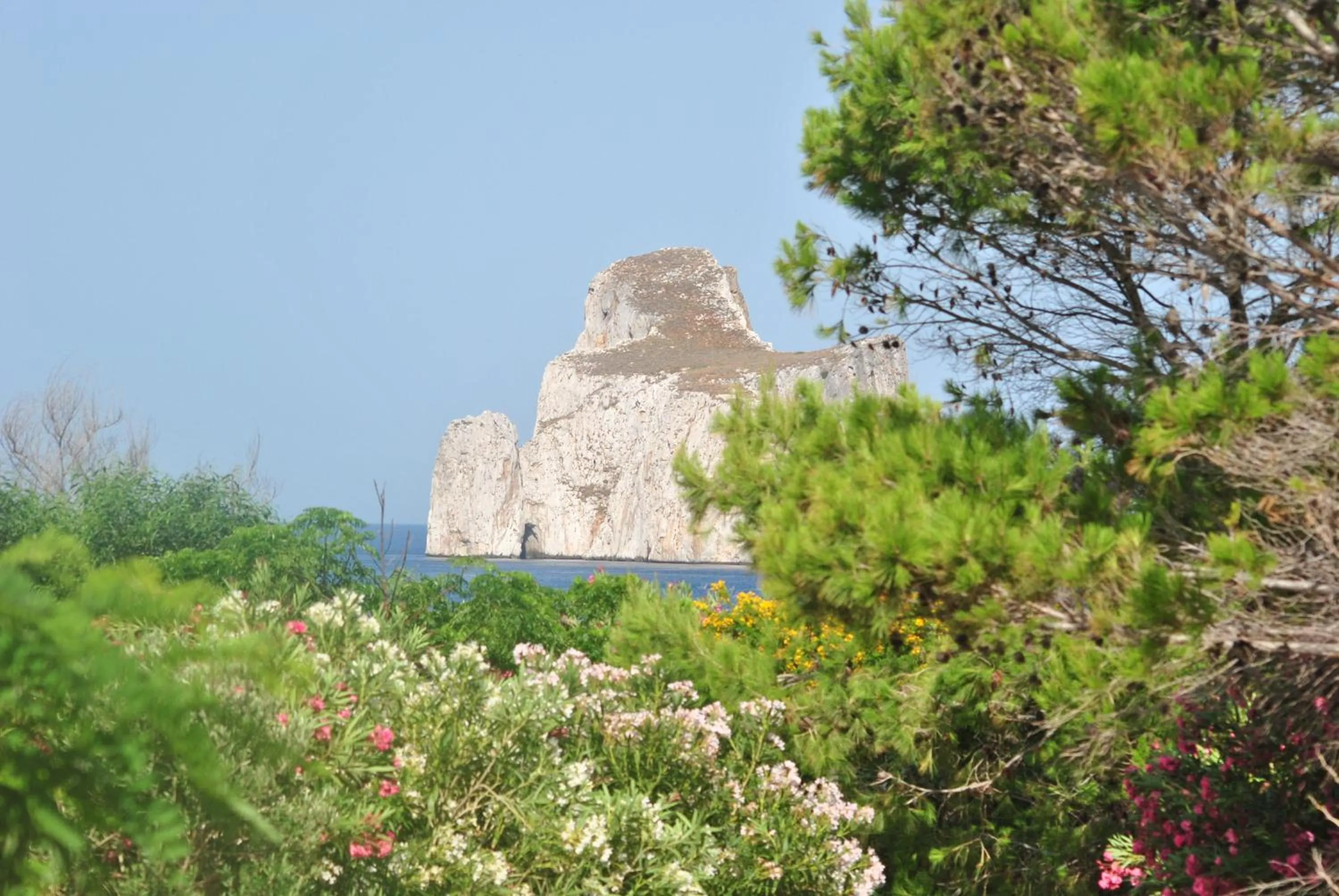 Area and facilities in B&B Del Viale