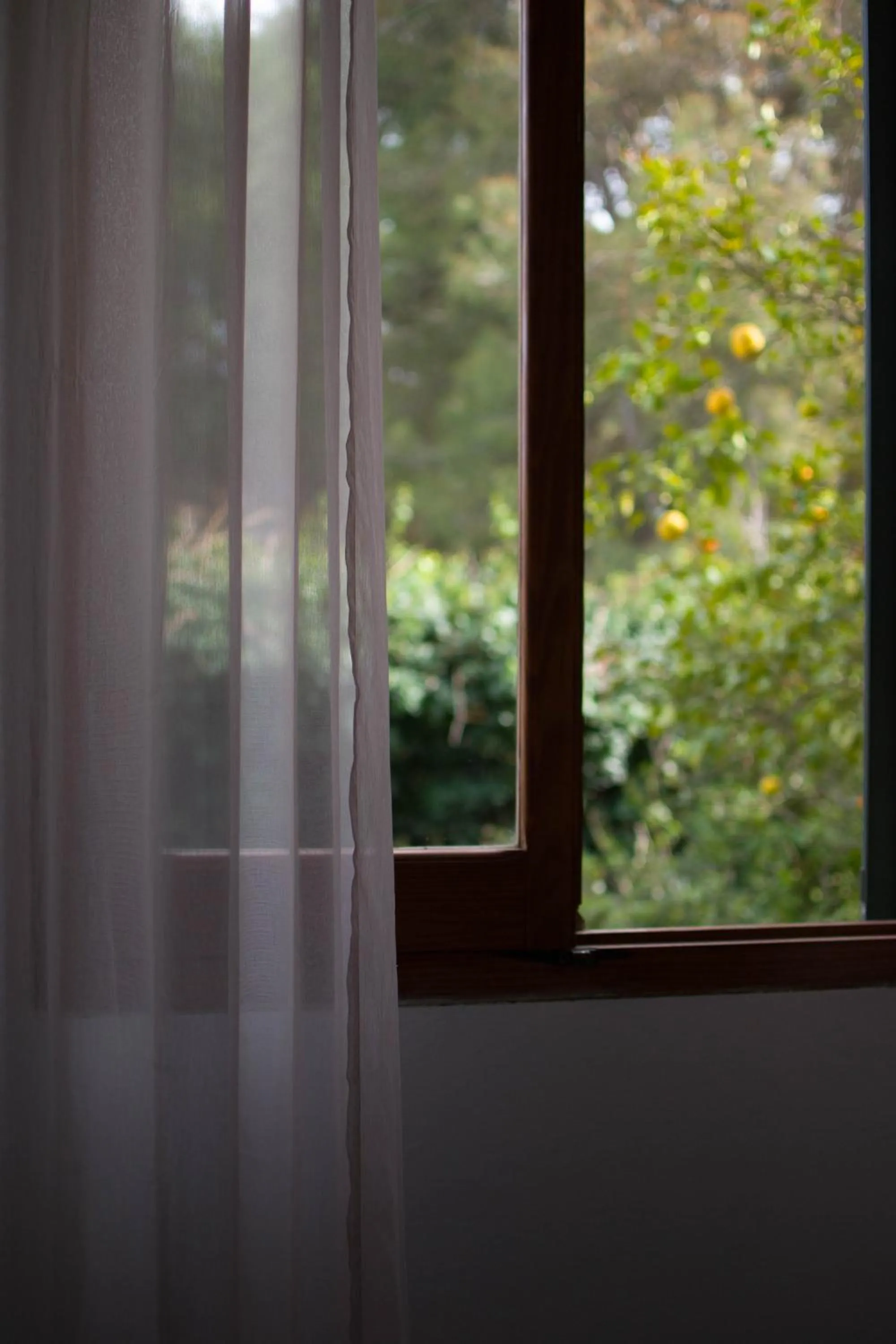 Garden view in B&B Del Viale