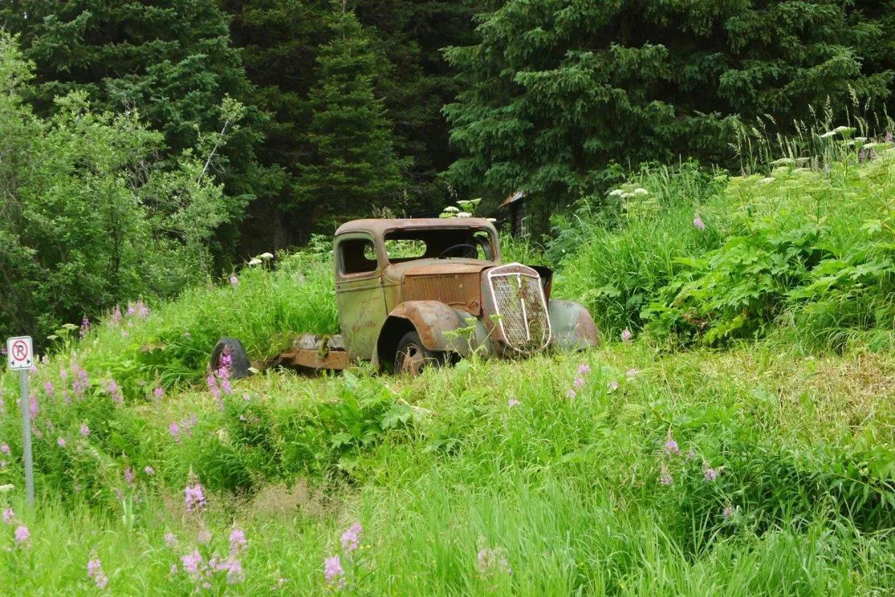 Mountain Thyme Getaway