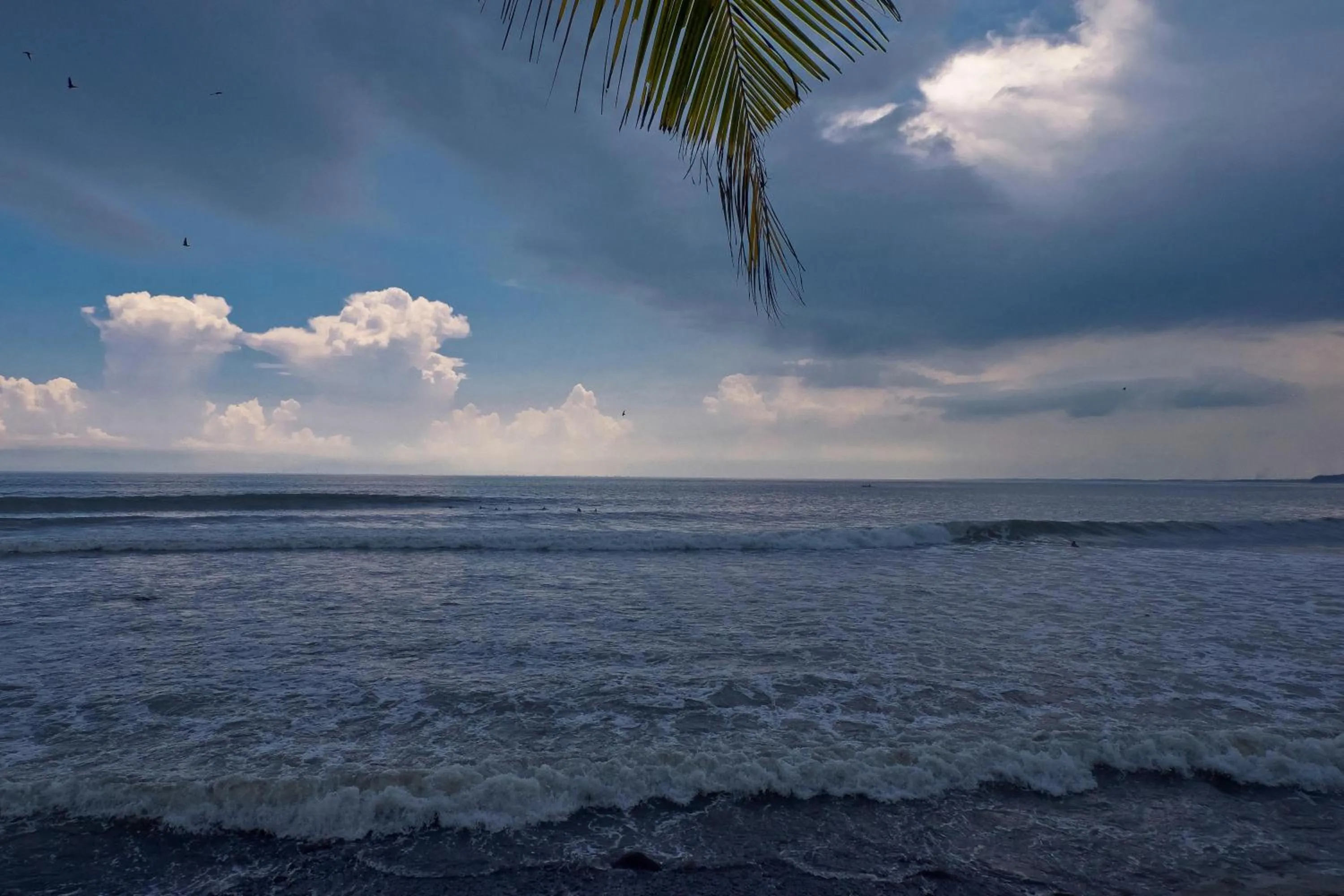Beach in Umadewi Surf & Retreat
