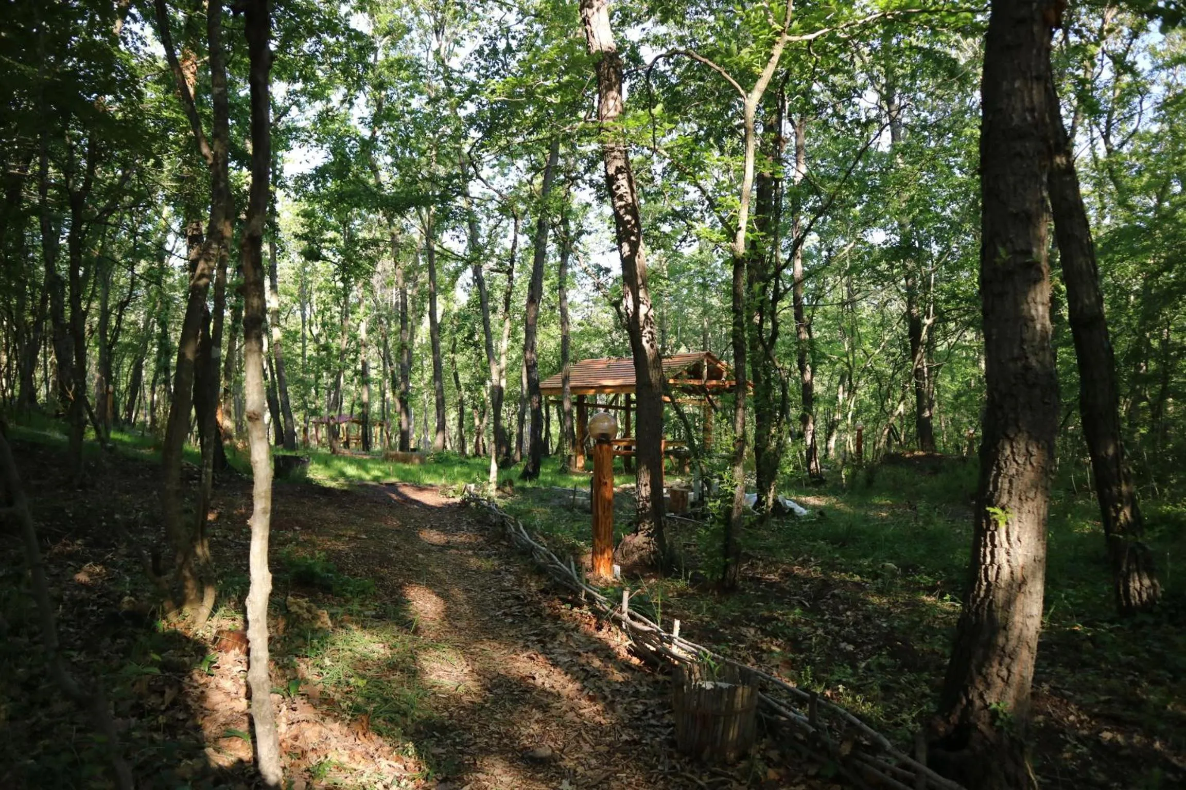 Garden view in Park hotel Bellevue