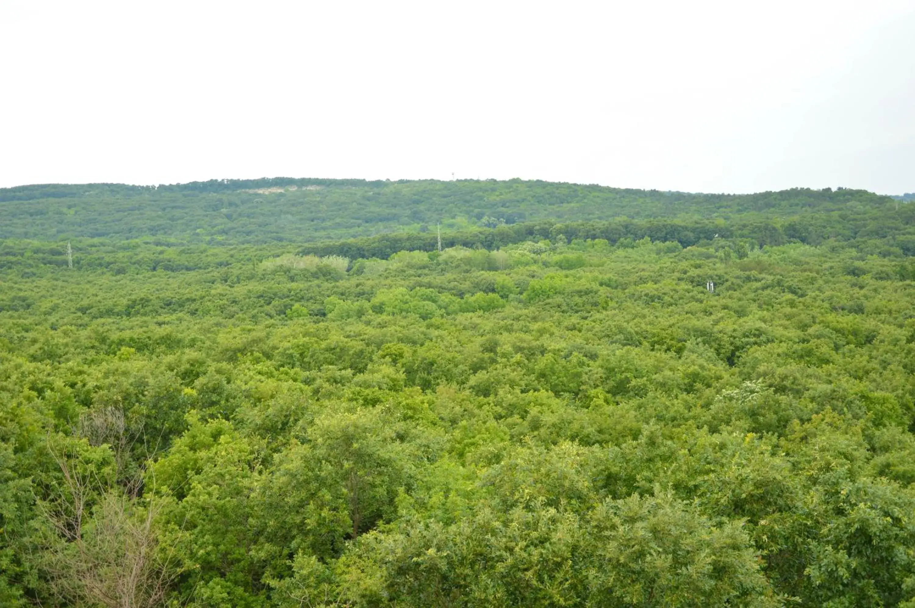 View (from property/room) in Park hotel Bellevue View (from property/room) in Park hotel Bellevue