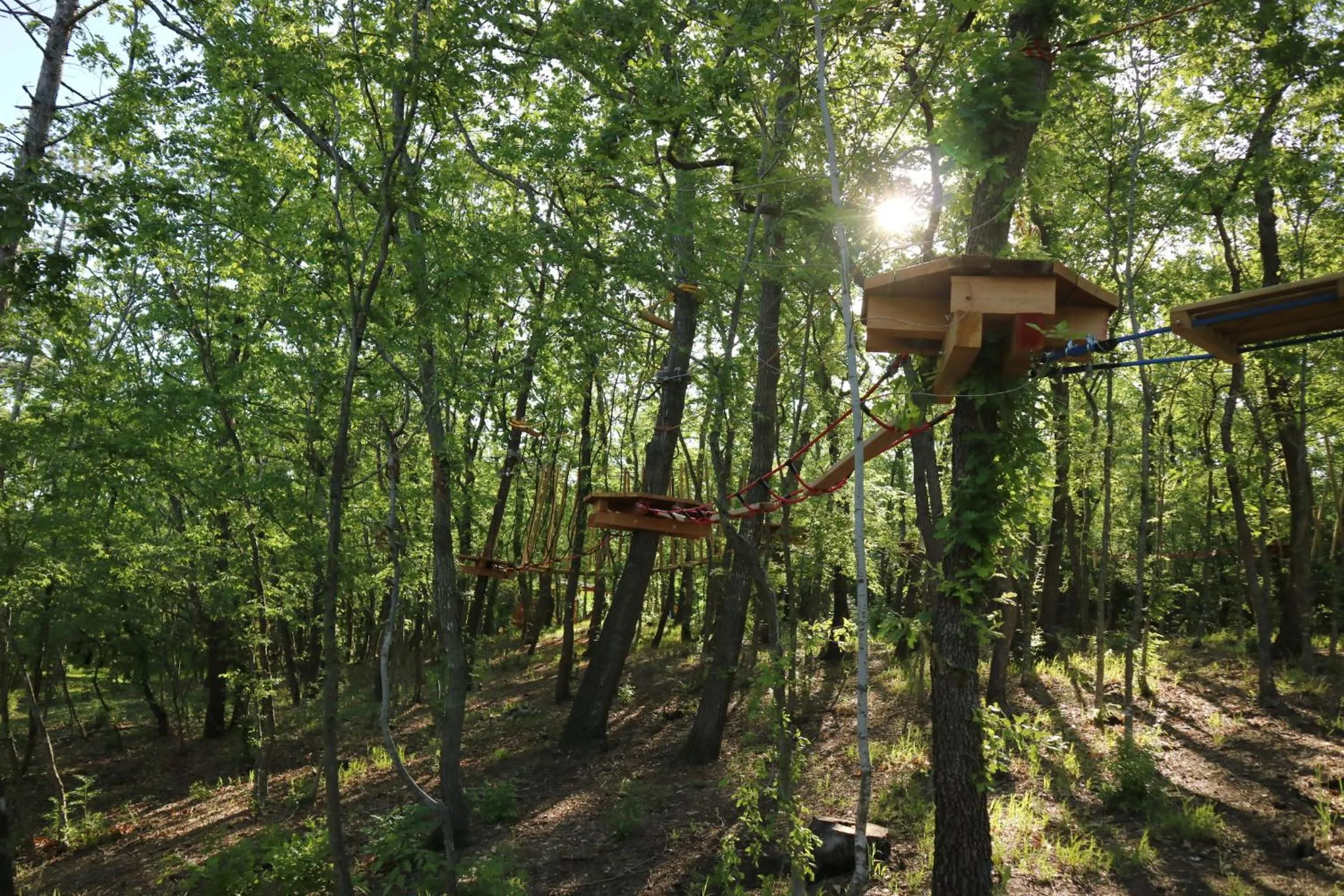 Spring in Park hotel Bellevue