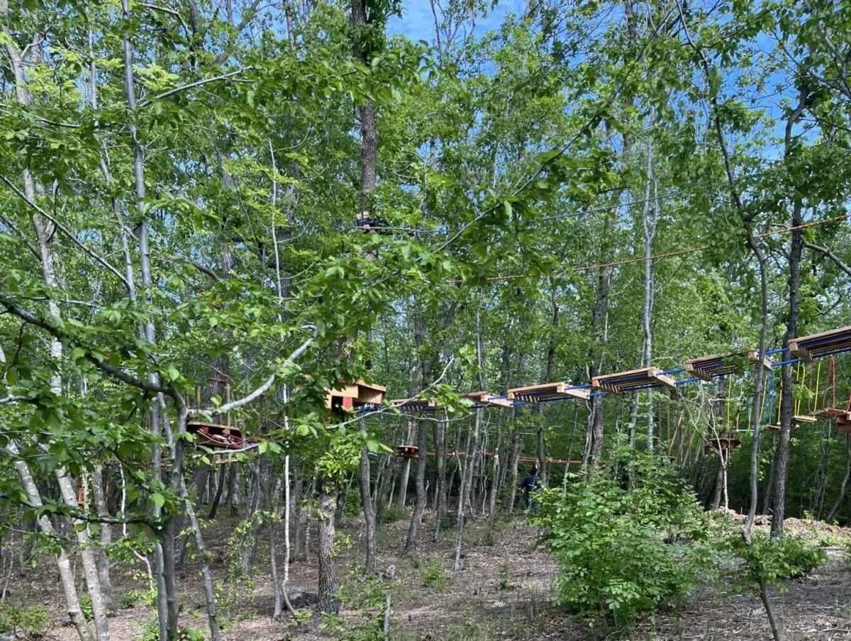 Children play ground in Park hotel Bellevue