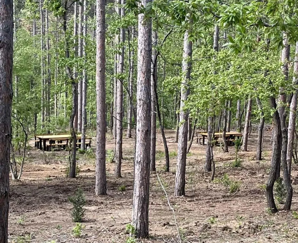 Seating area in Park hotel Bellevue