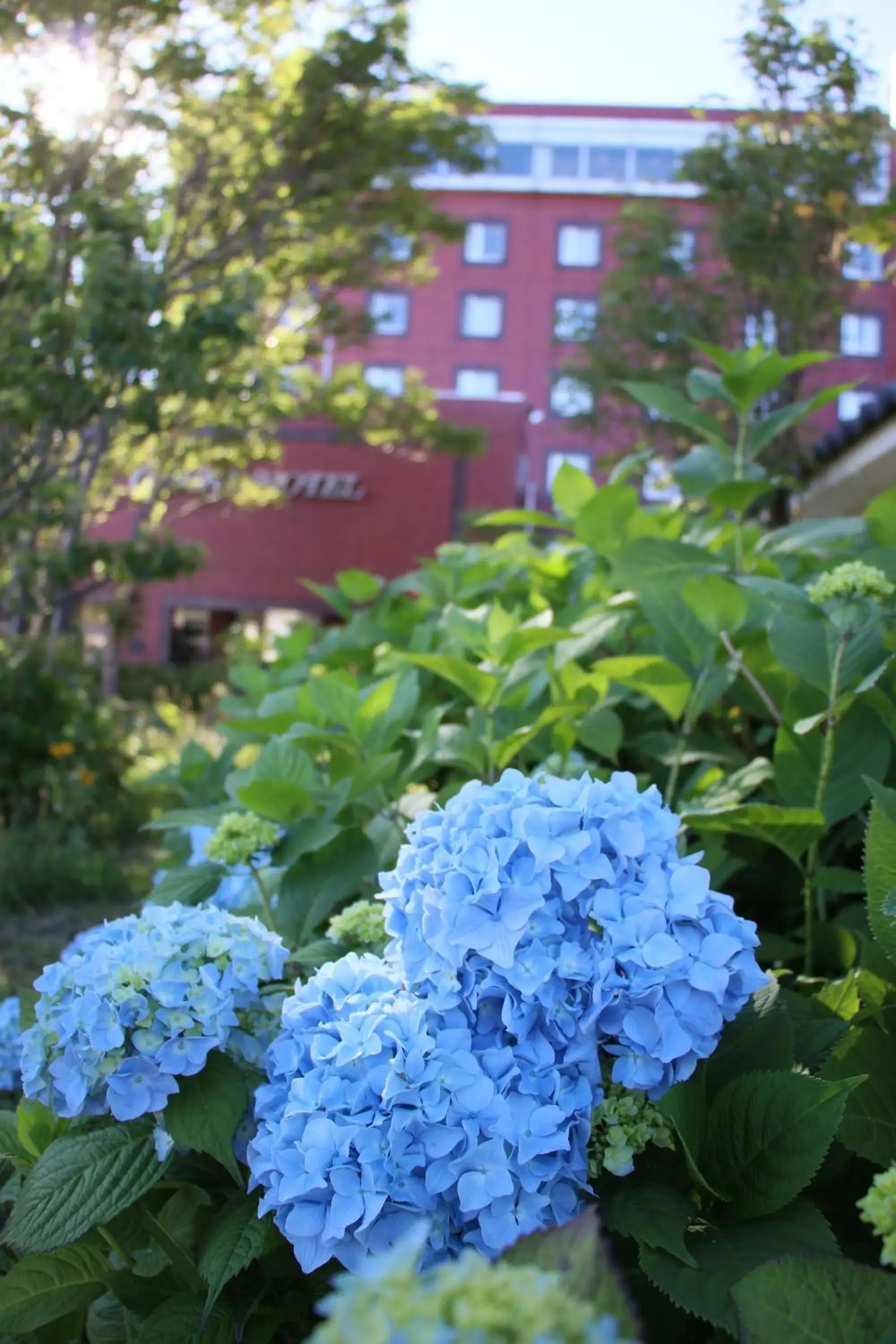 Facade/entrance in Kitaguni Grand Hotel Facade/entrance in Kitaguni Grand Hotel