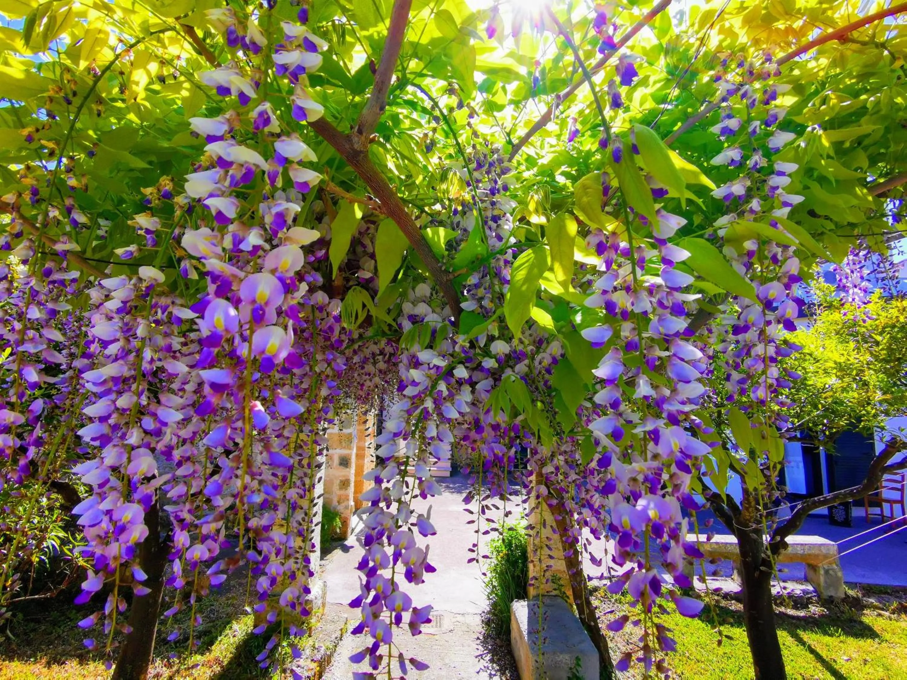 Garden in Masseria De Donno