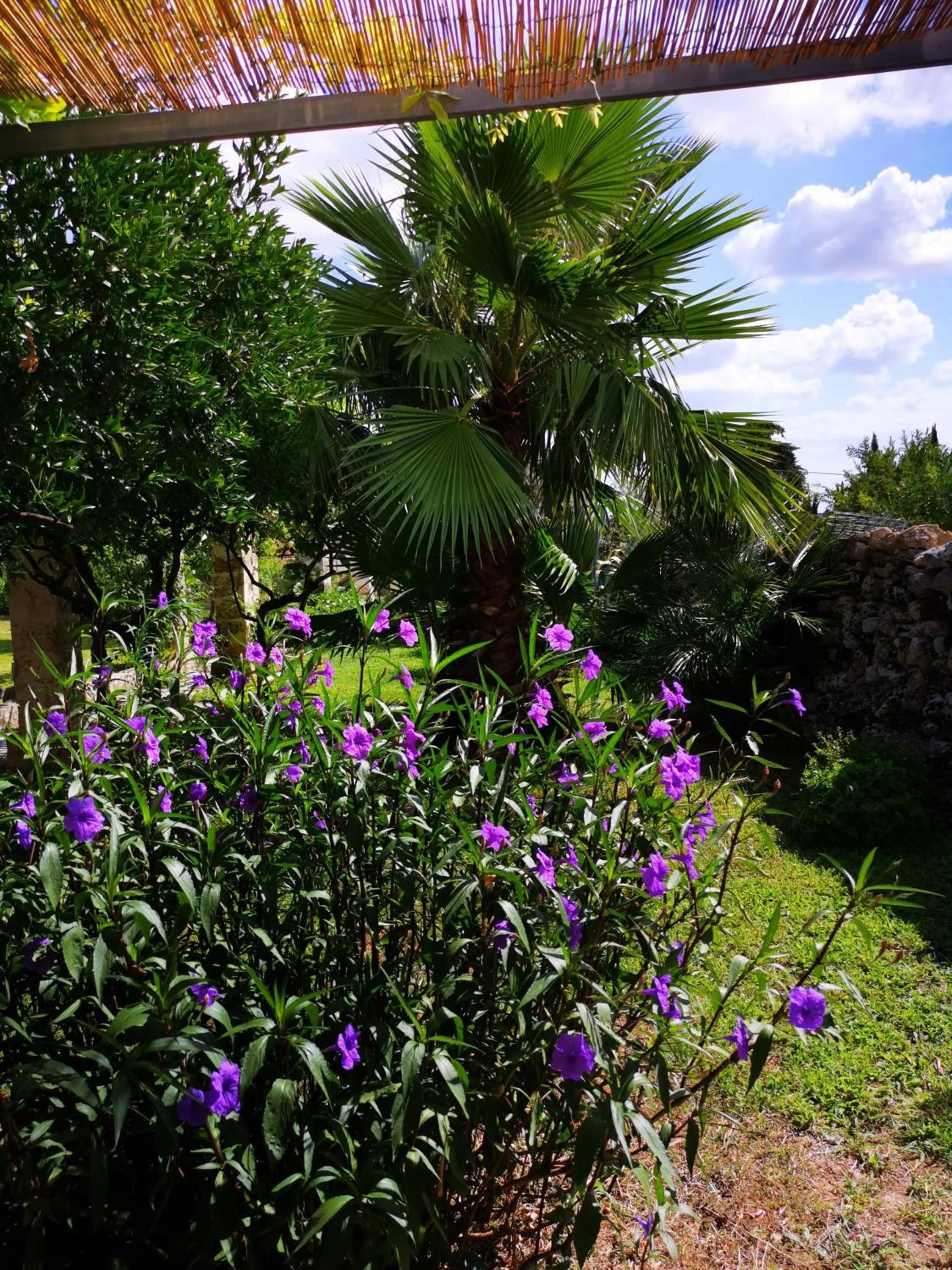 Garden in Masseria De Donno
