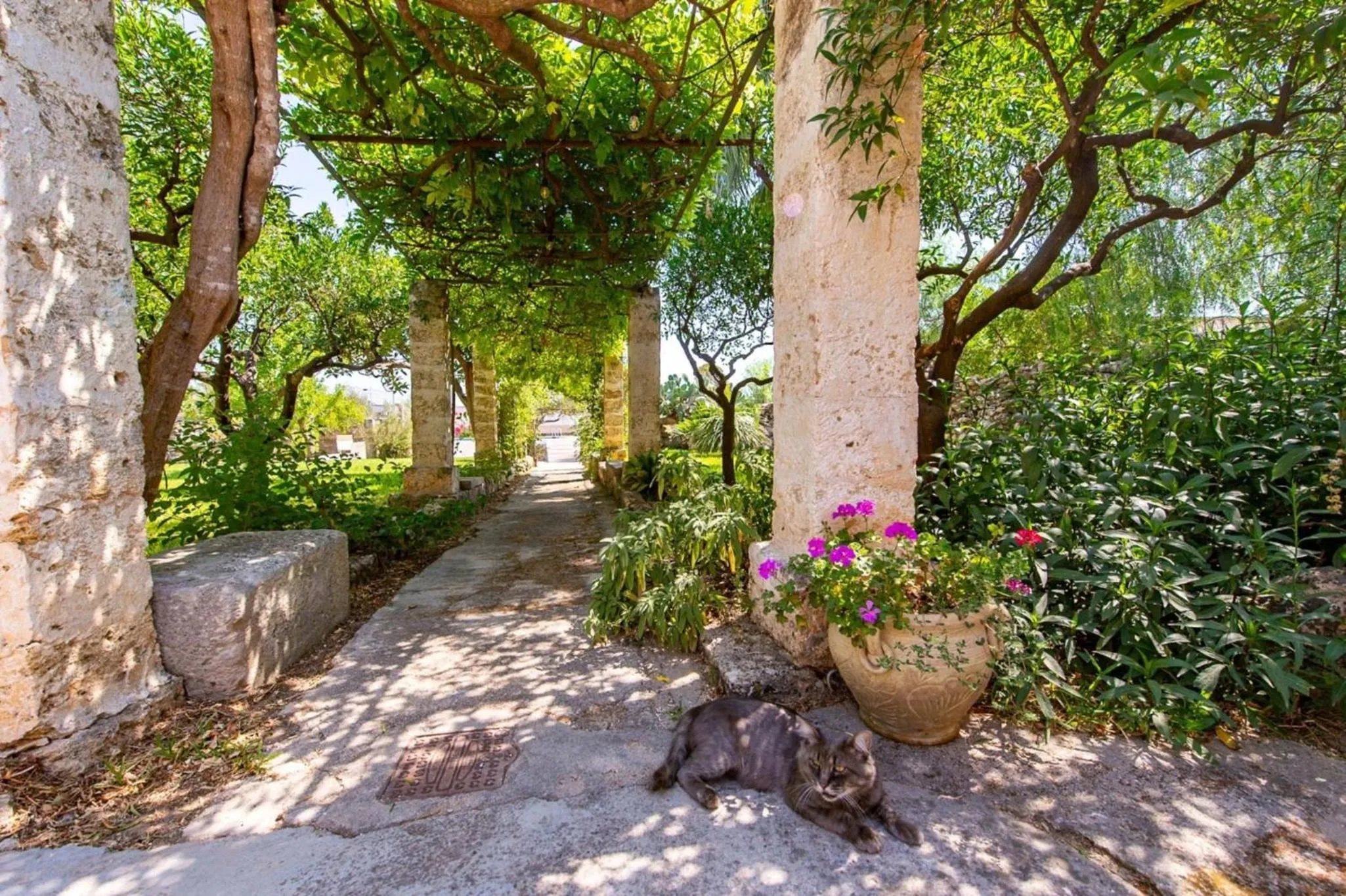 Property building in Masseria De Donno