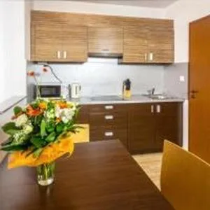 Kitchen or kitchenette in Prater Residence Aparthotel