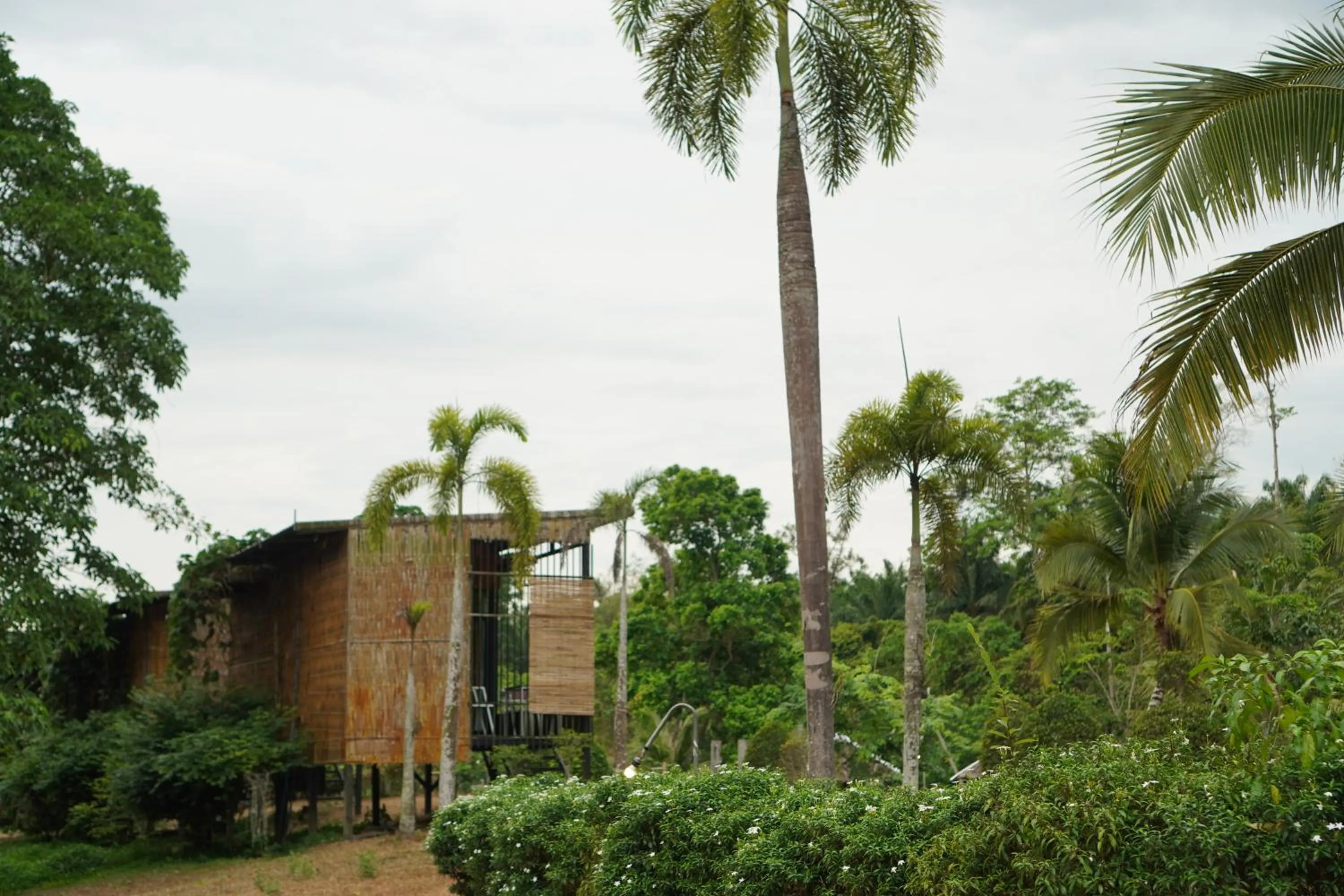 Chiewlan Camp and Resort