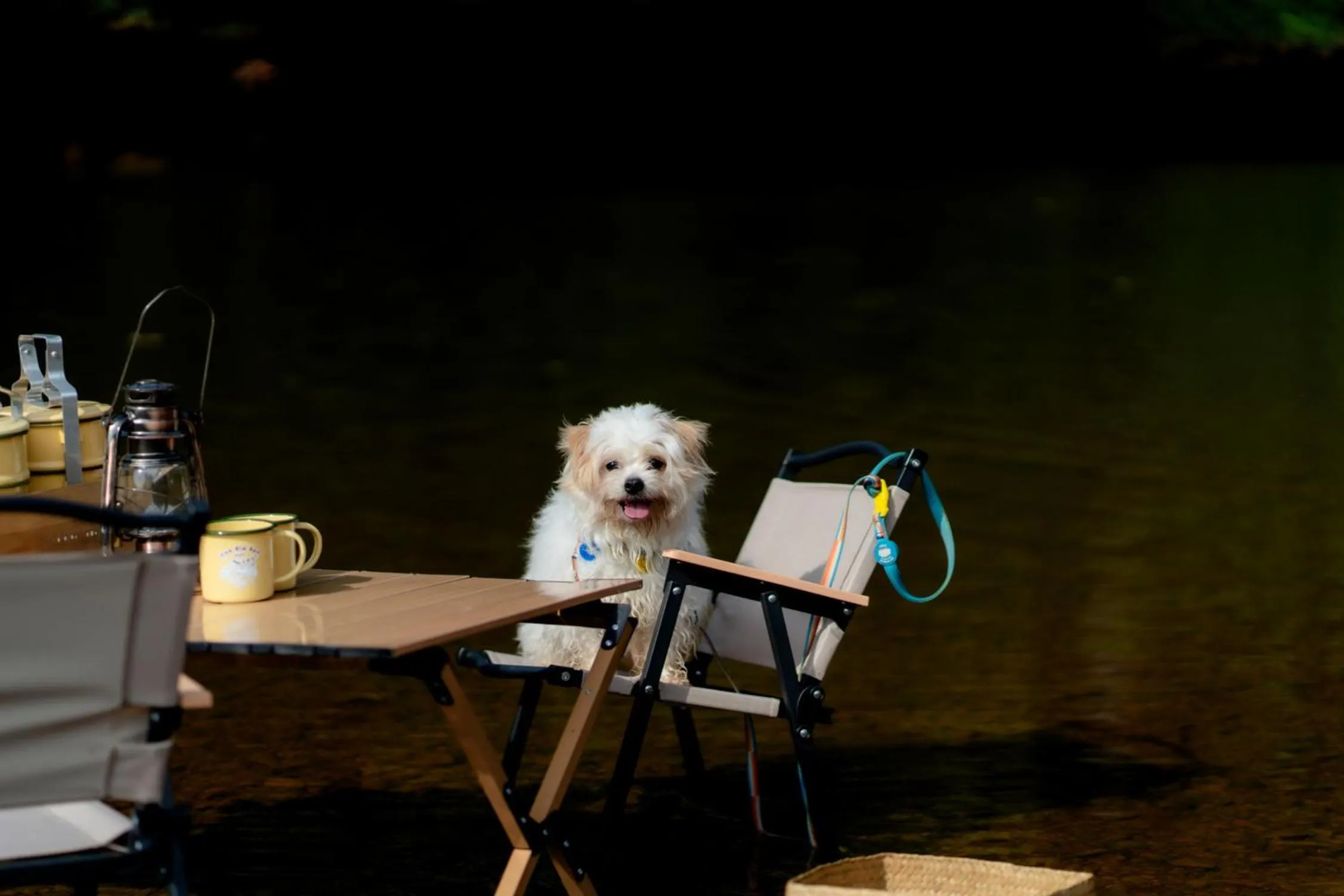 Chiewlan Camp and Resort