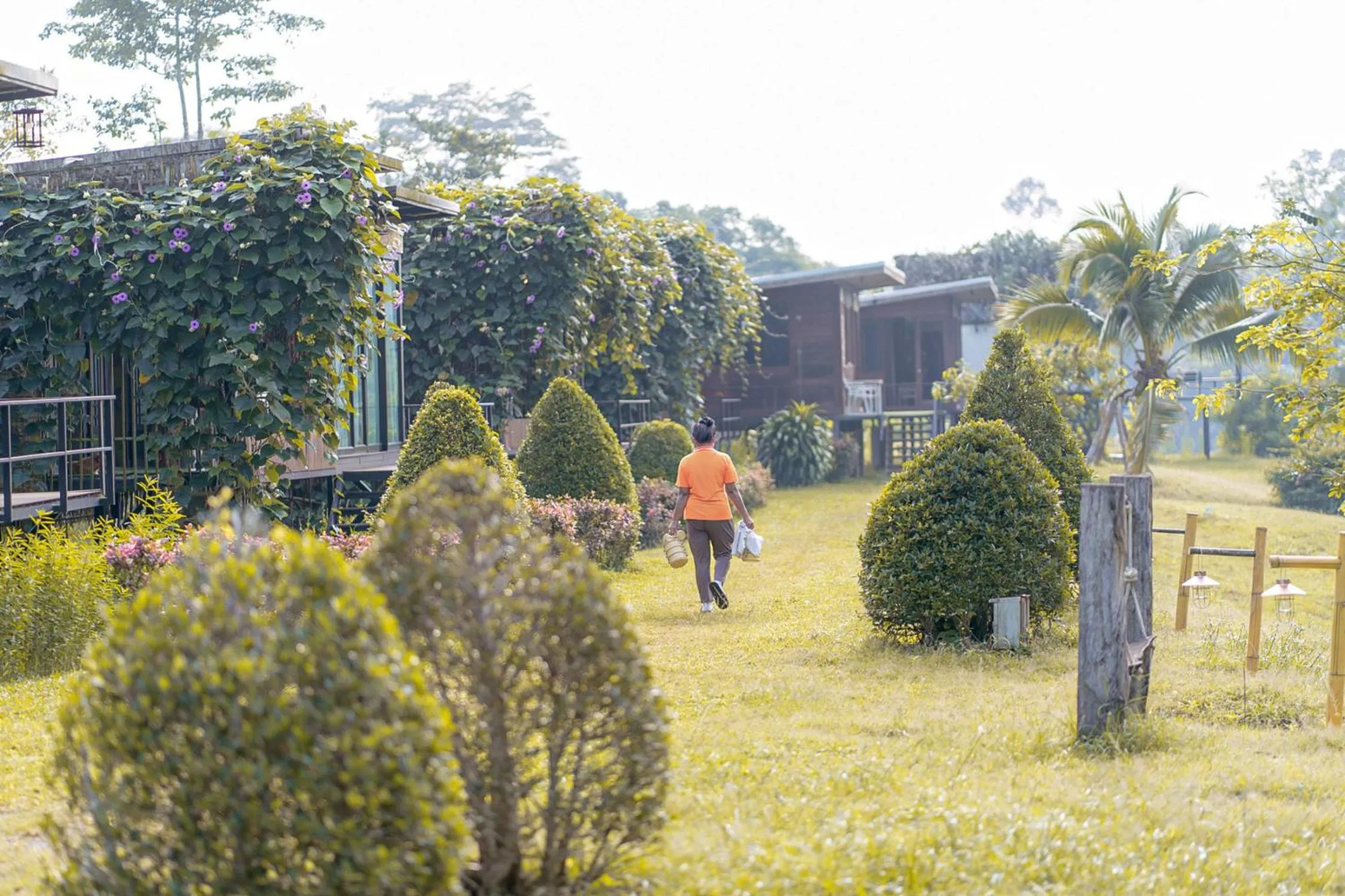 Chiewlan Camp and Resort