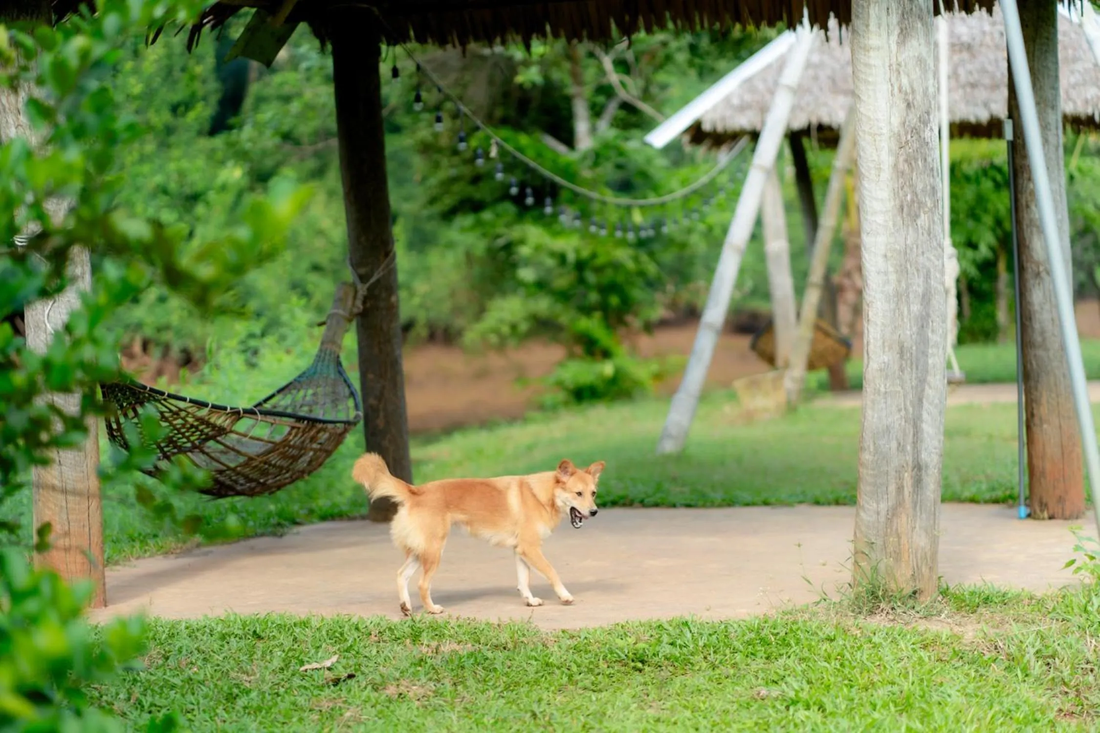 Chiewlan Camp and Resort