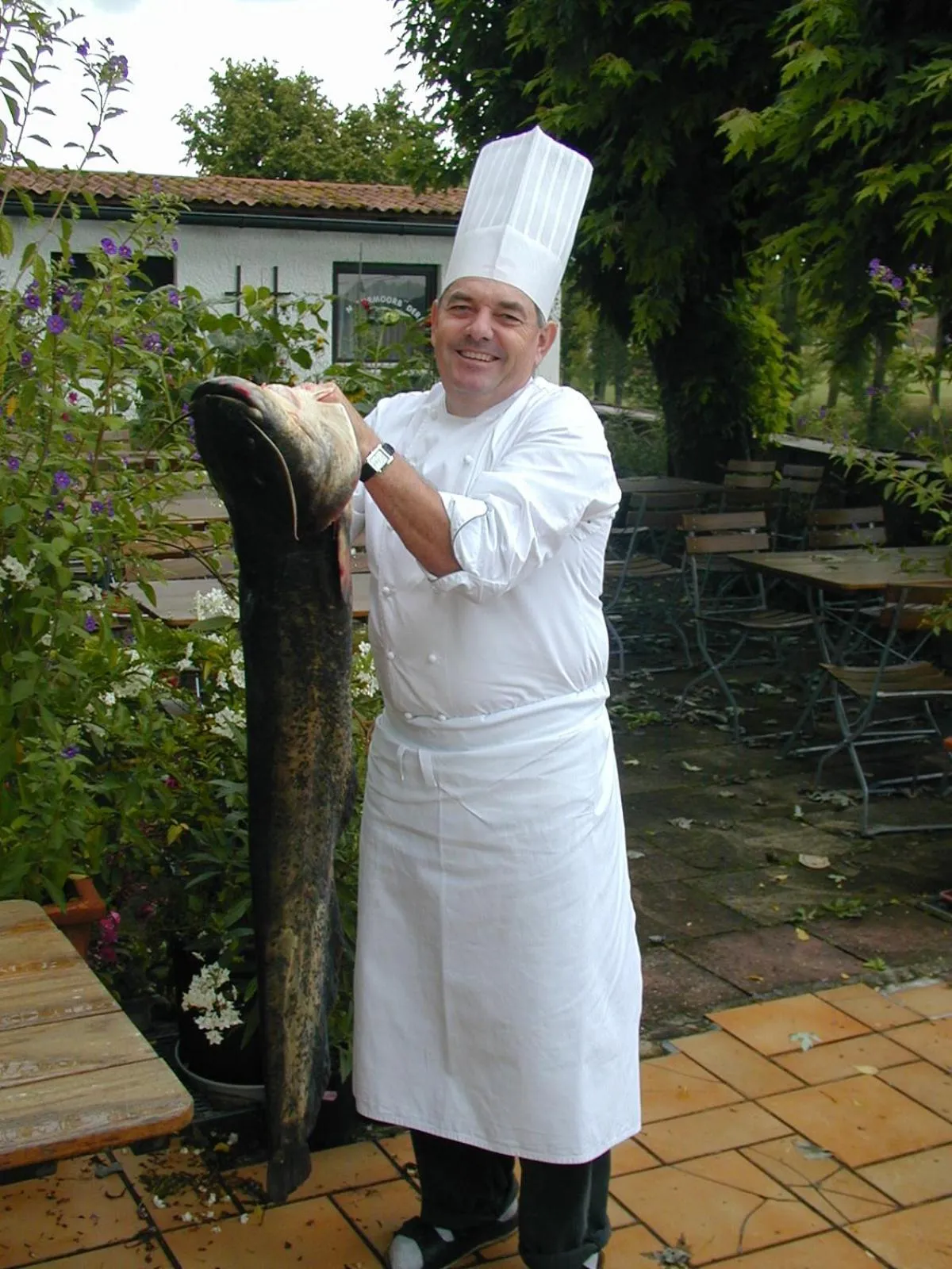 Food in Kurhotel Würdinger Hof