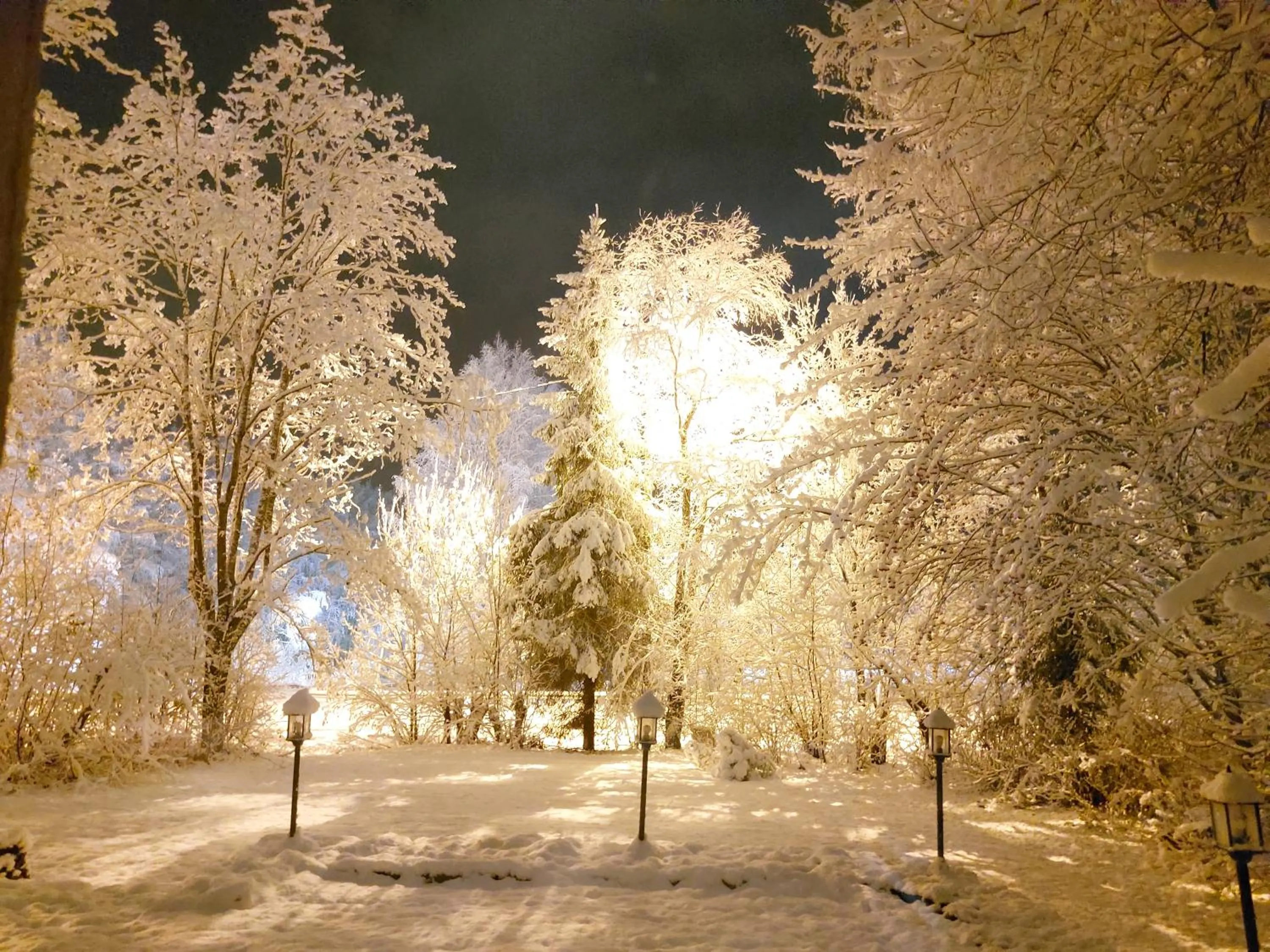 Property building in Cronin's Guesthouse Bed & Breakfast