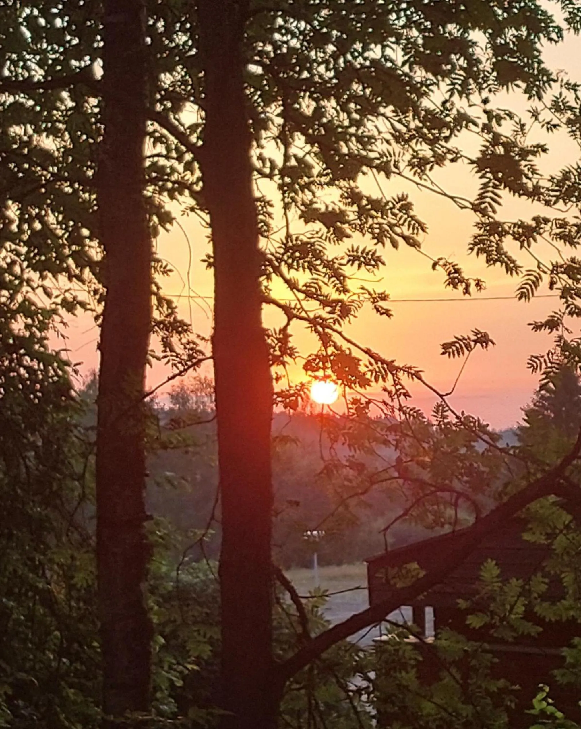 Garden view in Cronin's Guesthouse Bed & Breakfast