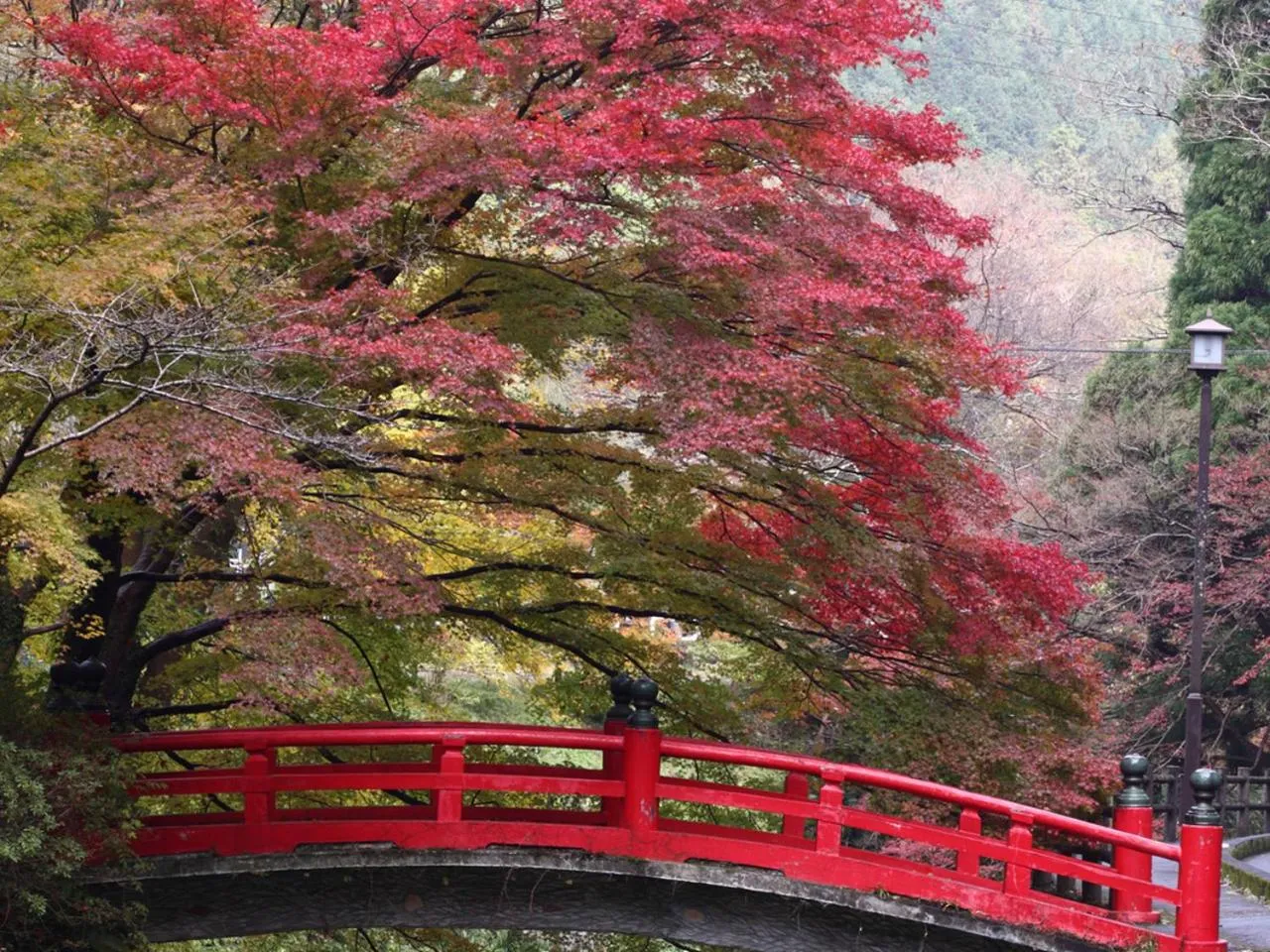 Other in Gyokusenkaku