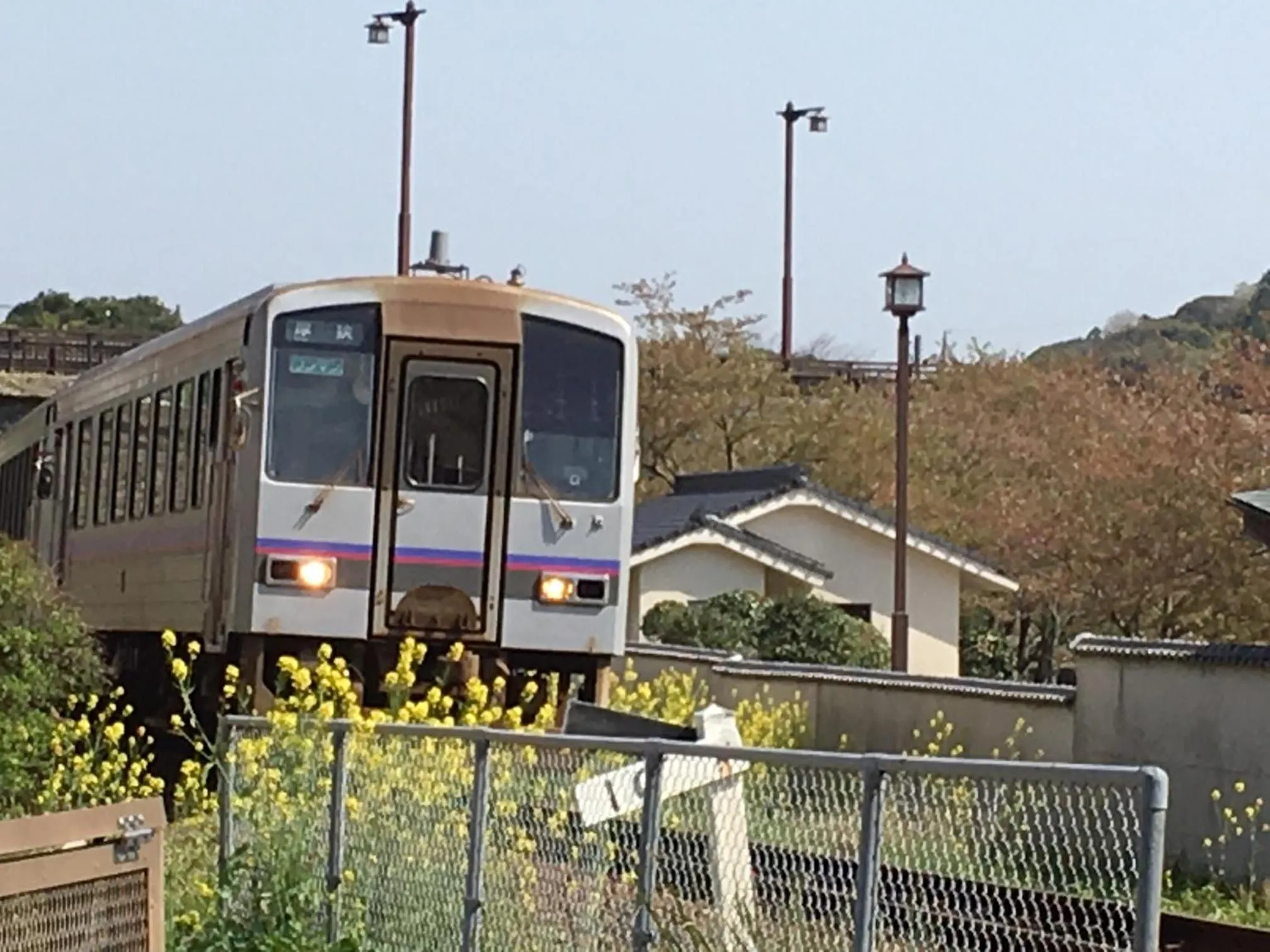 Spring in Gyokusenkaku