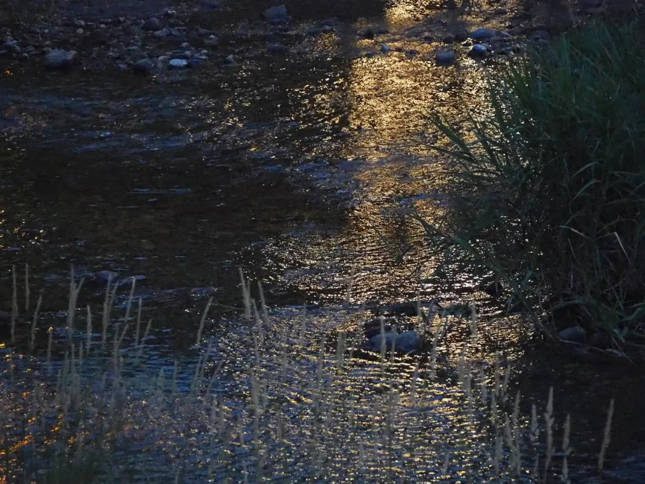 Off site in Gyokusenkaku