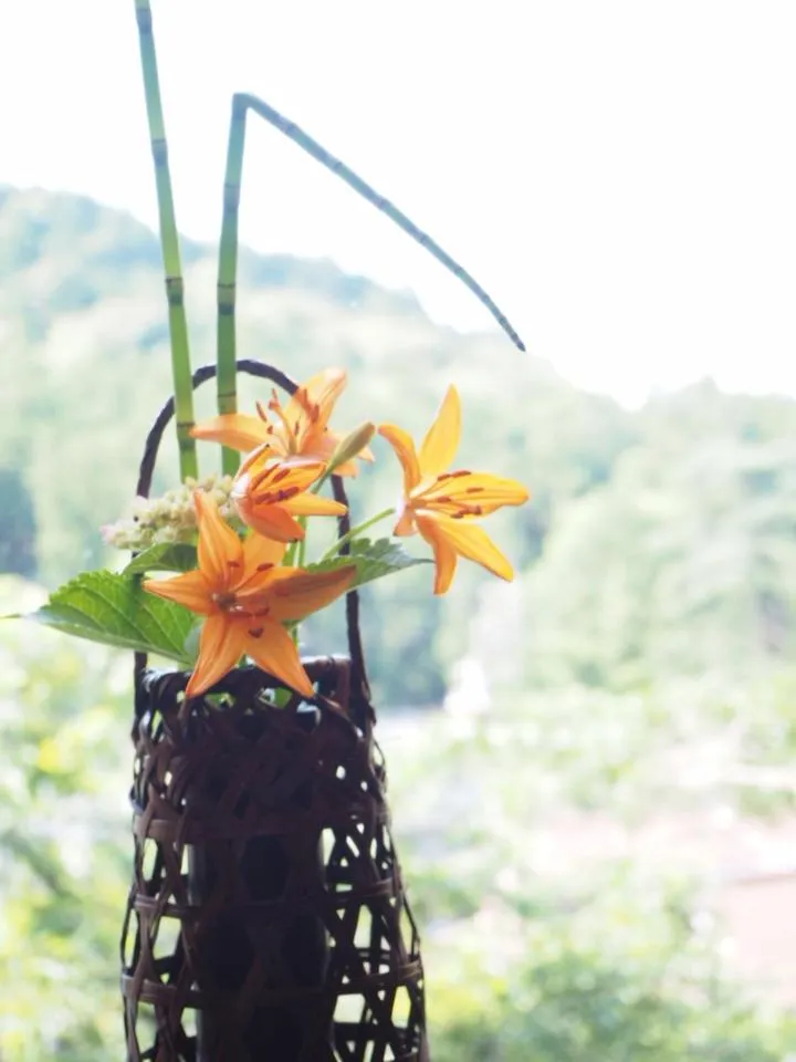 View (from property/room) in Gyokusenkaku