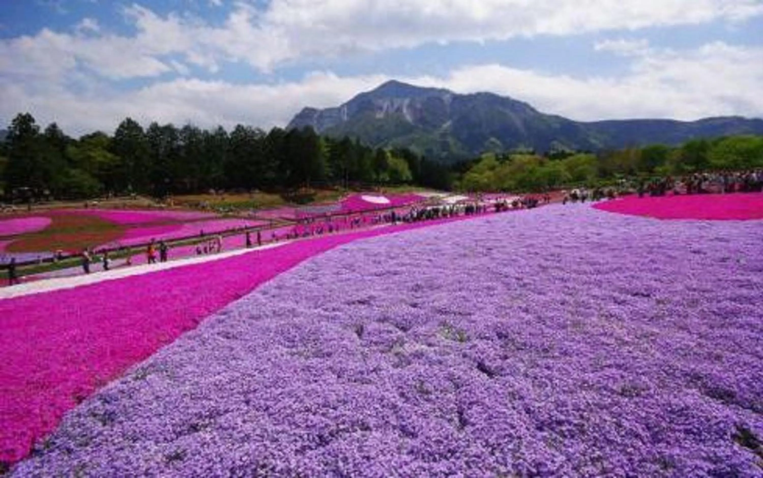 Entertainment in One Meter Sunshine Hotel Xi'an Xianyang International Airport Flagship Store