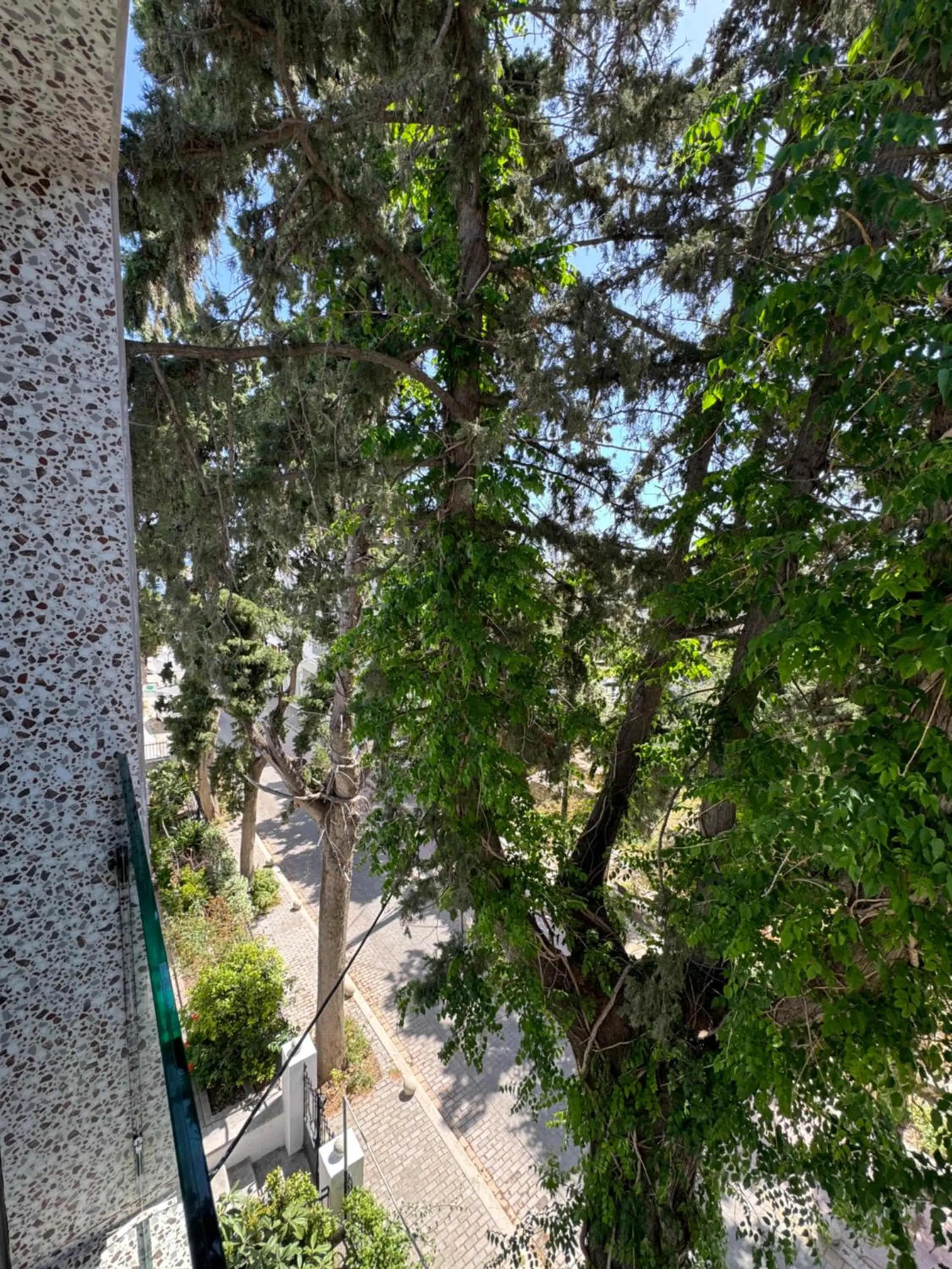 View (from property/room) in Catherine Hotel