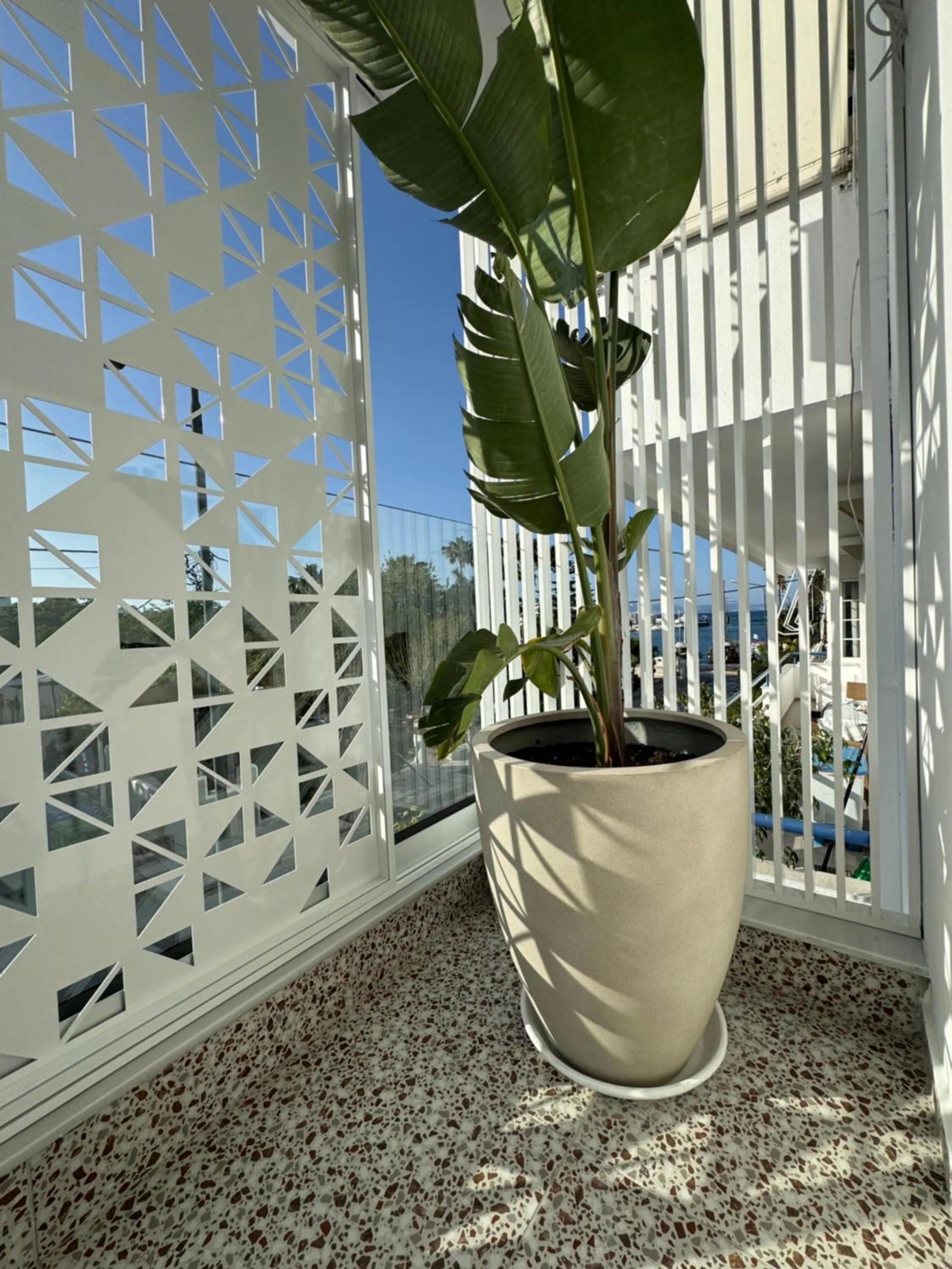Balcony/Terrace in Catherine Hotel