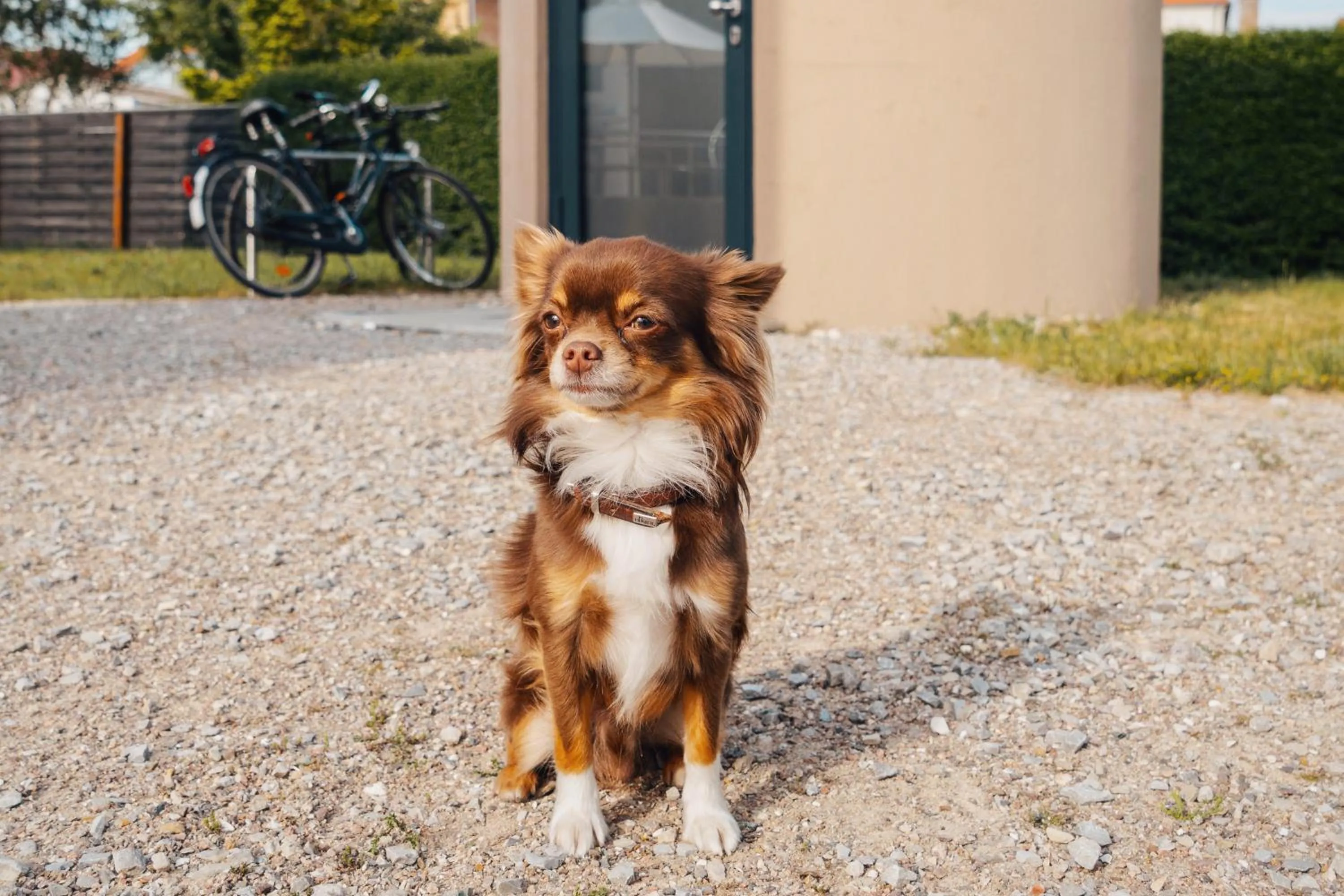 Pets in slube an den Teichen Hoher Fläming