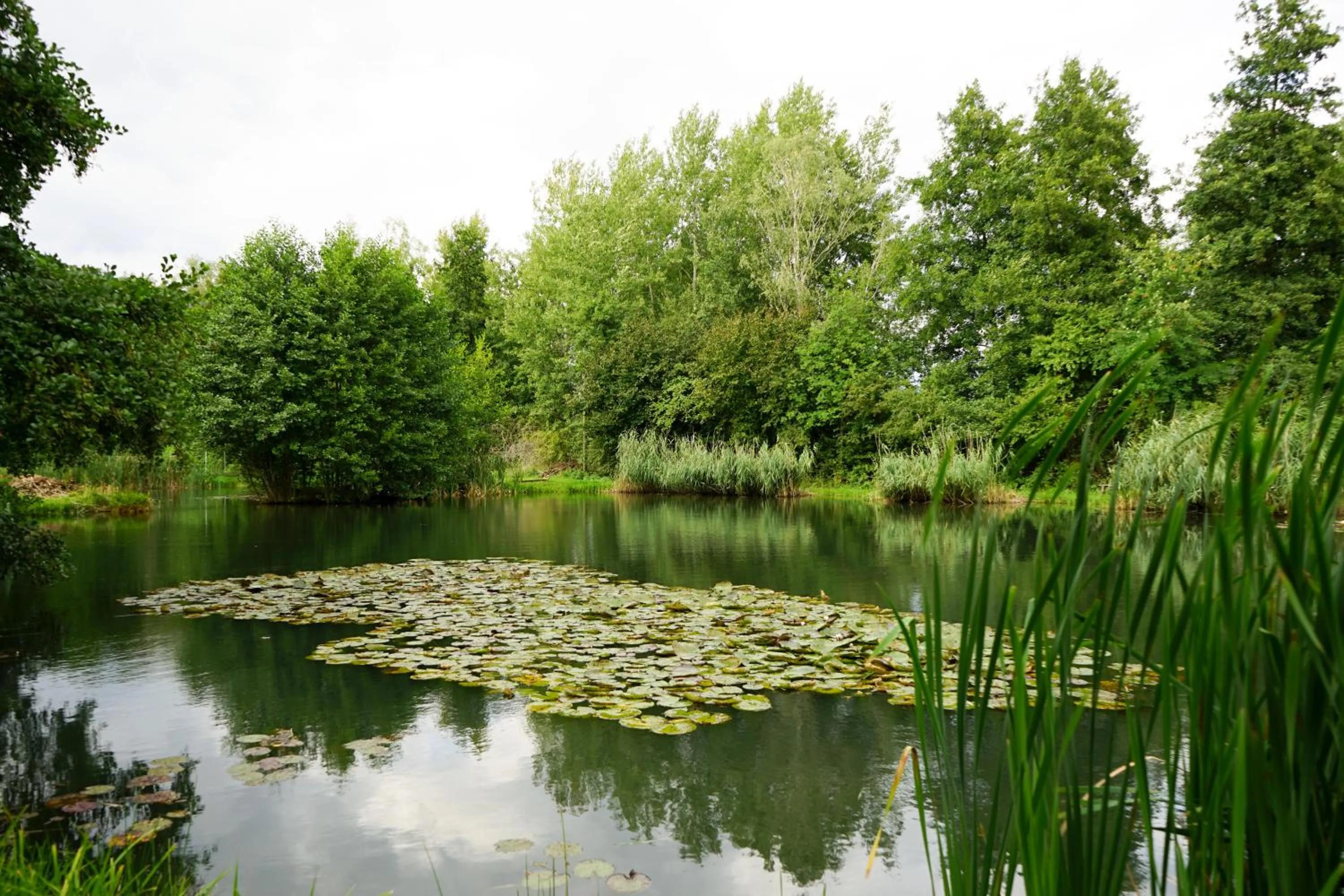 Hiking in slube an den Teichen Hoher Fläming