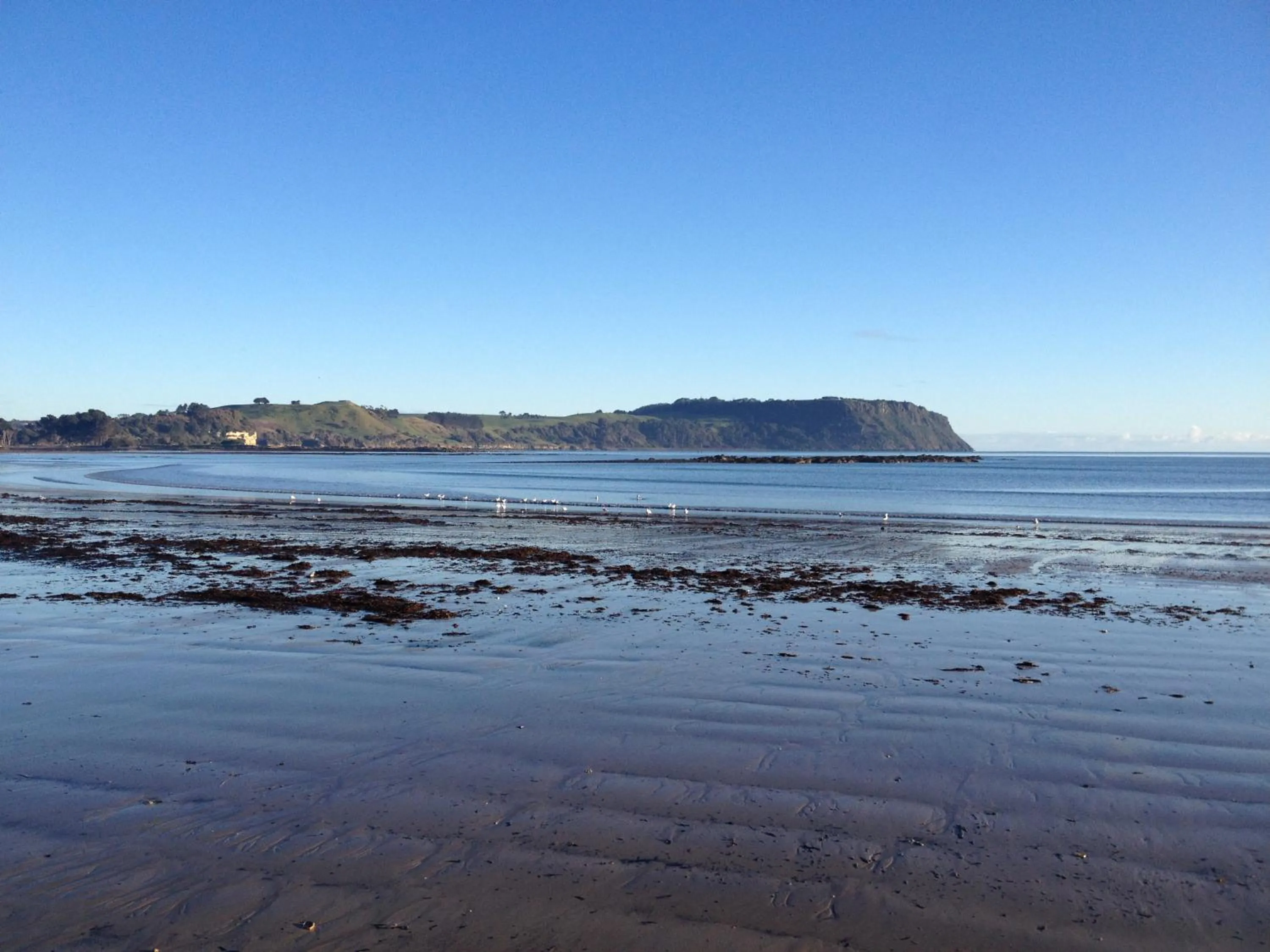 Nearby landmark in The Waterfront Wynyard