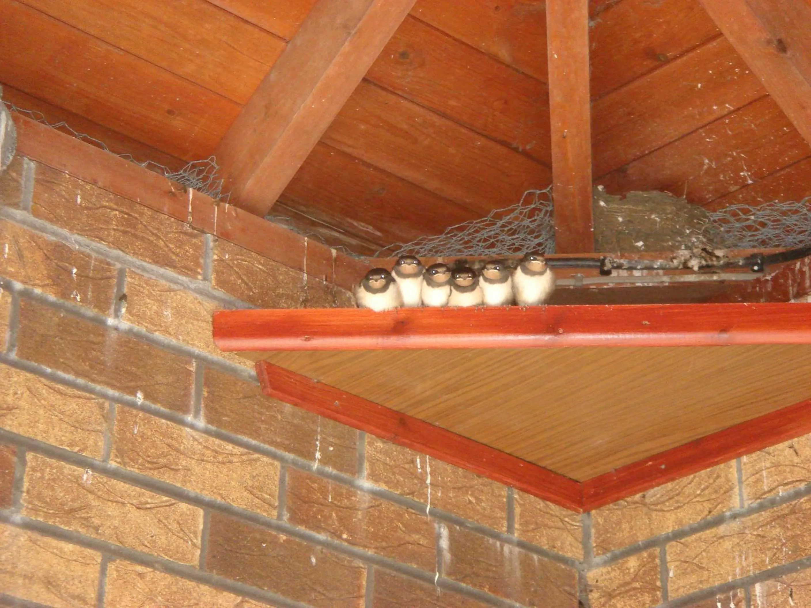 Garden in The Stables B&B