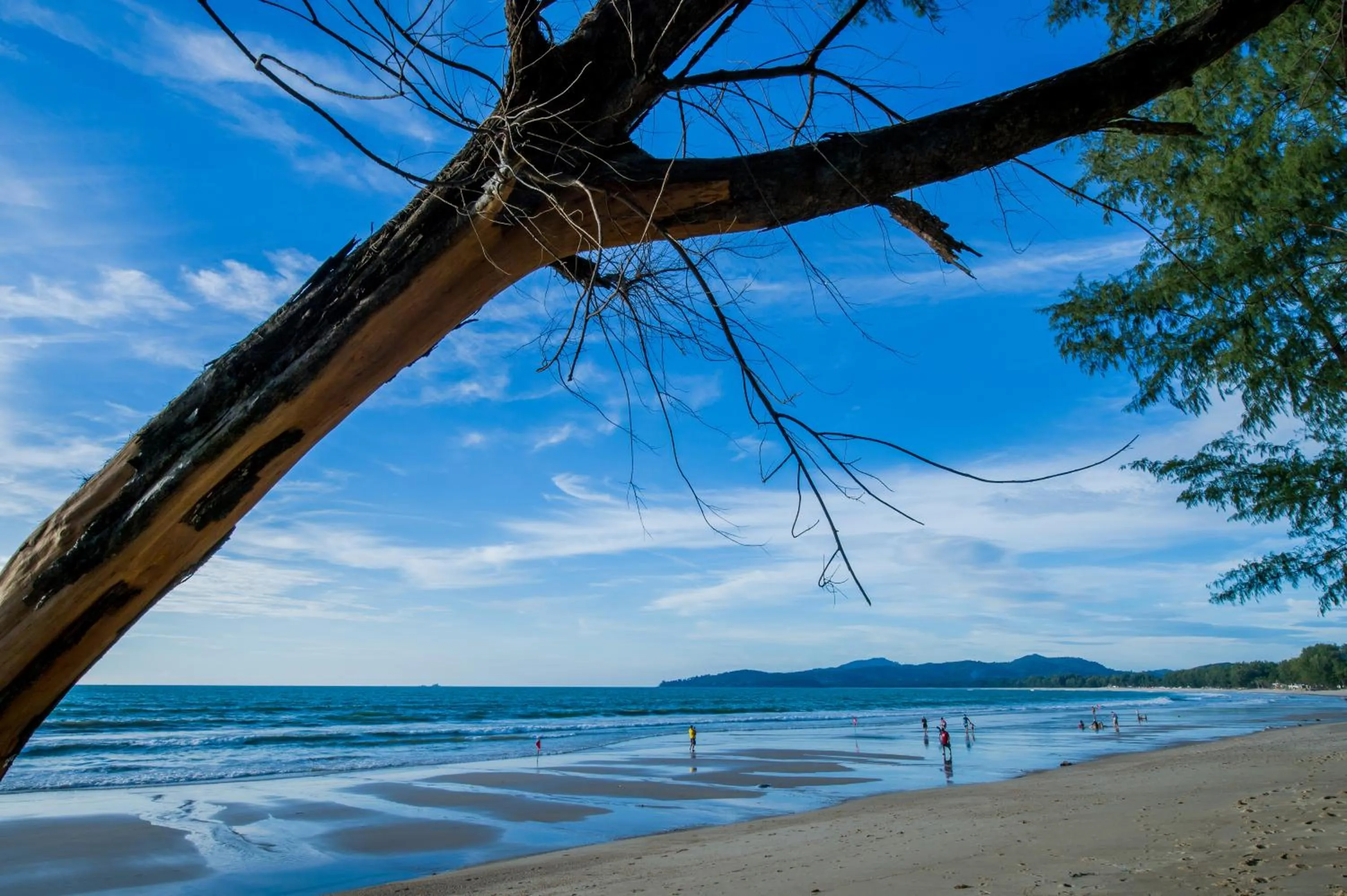 Day in Pai Tan Villas - SHA Extra Plus