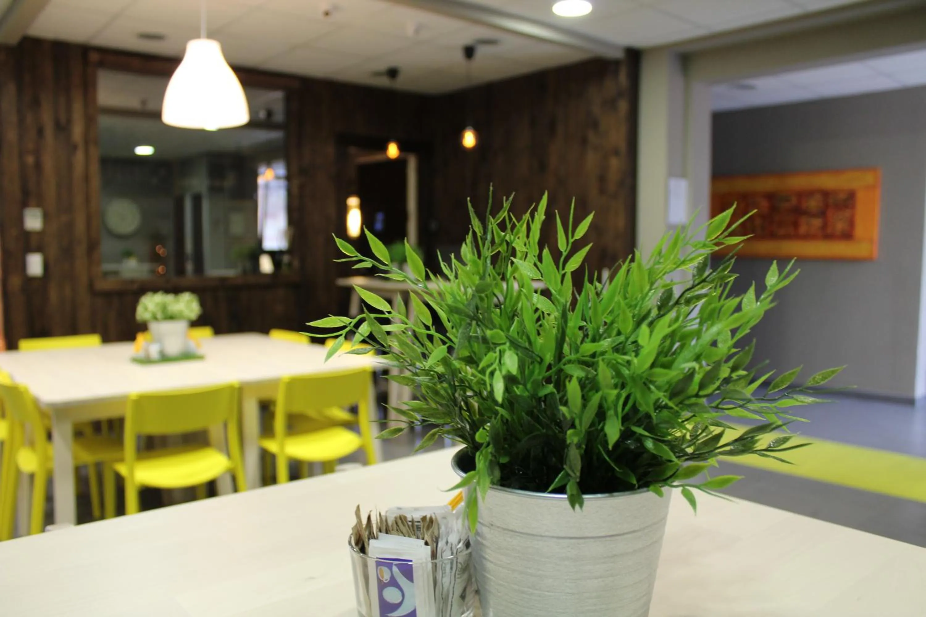 Area and facilities in Dannunziano Aparthotel