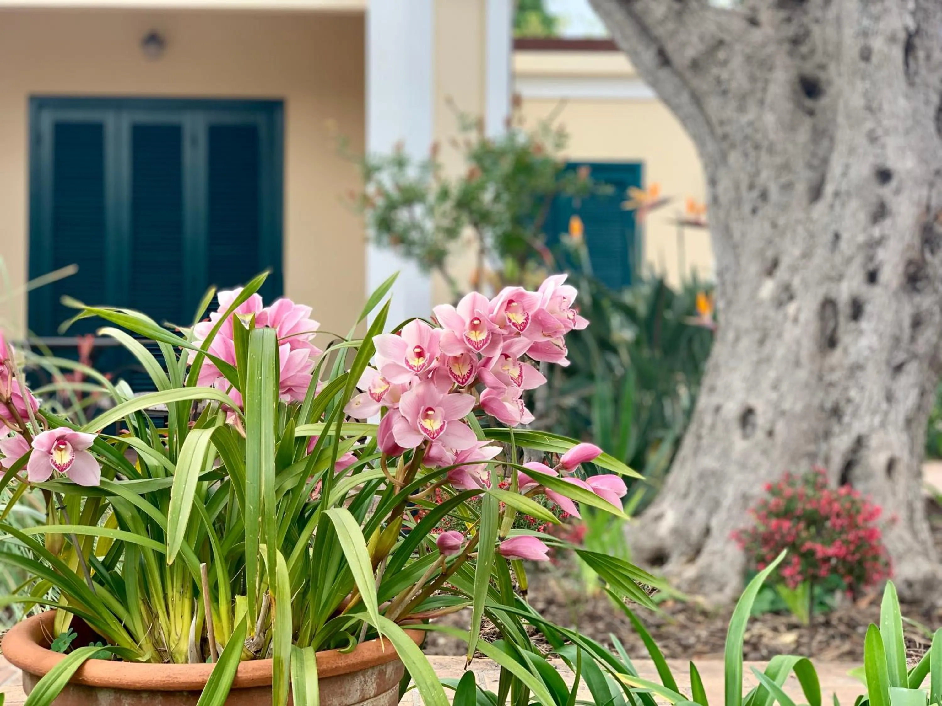 Patio in Villino Eleonora