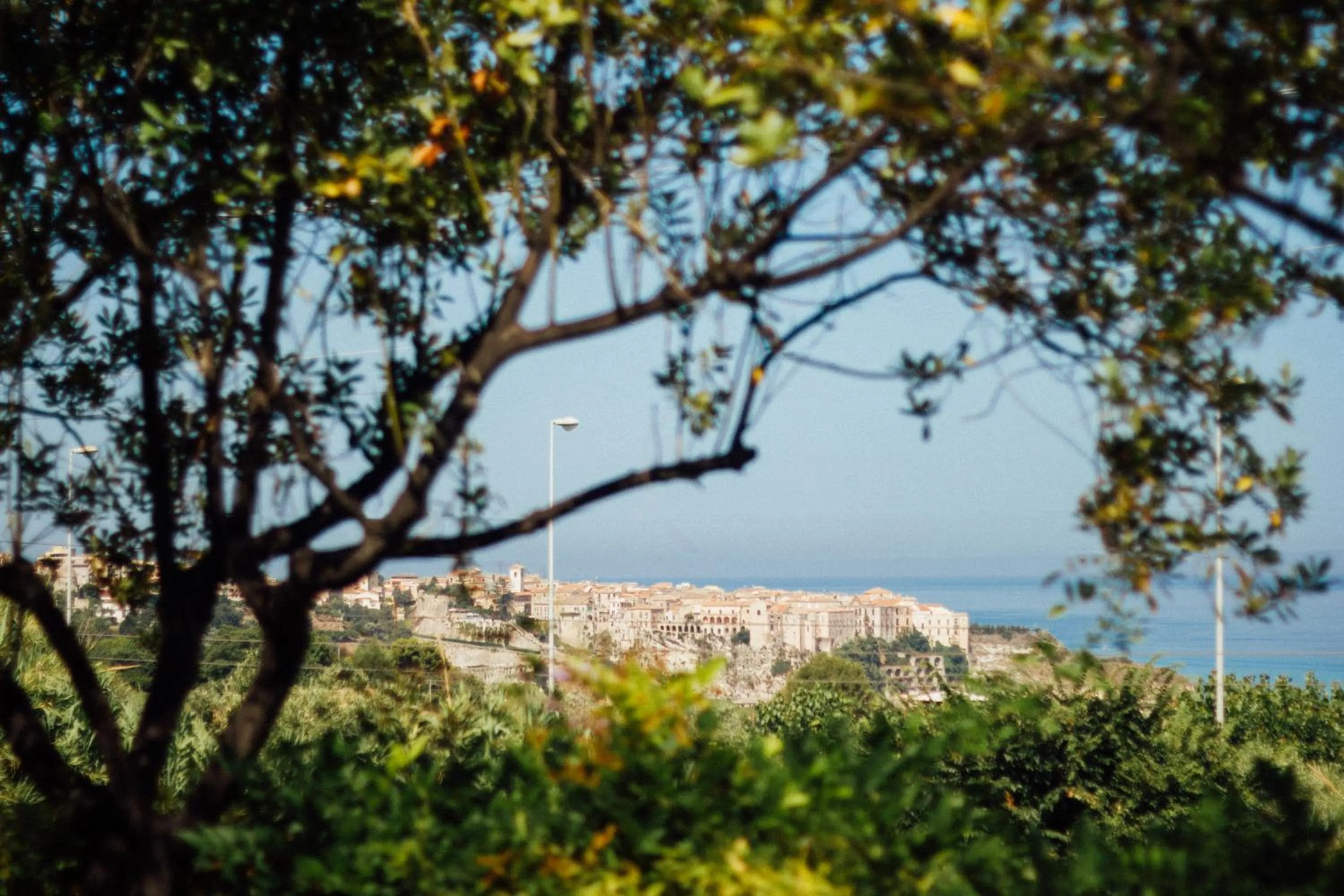 Neighbourhood in Villino Eleonora