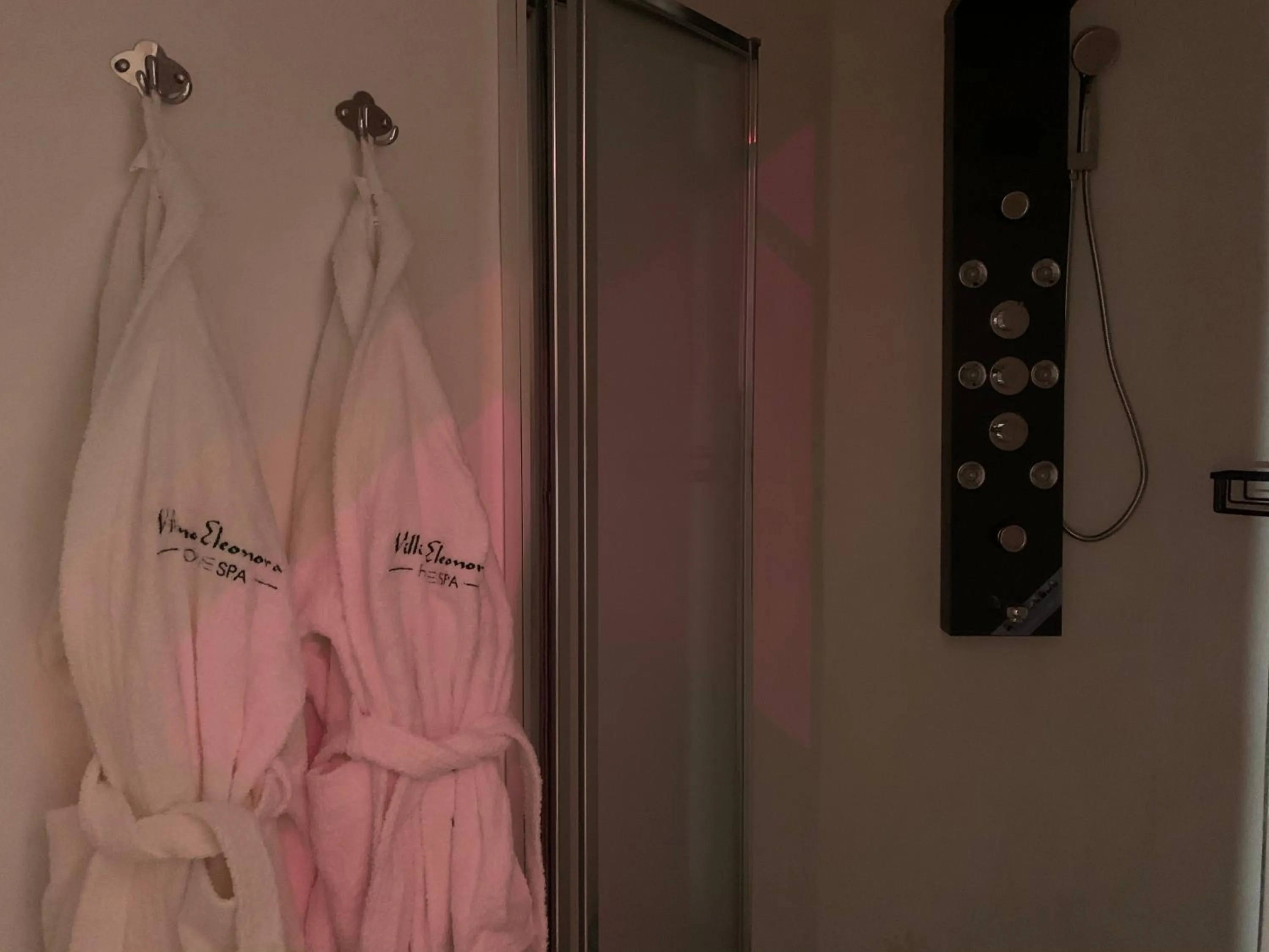 Spa and wellness centre/facilities in Villino Eleonora