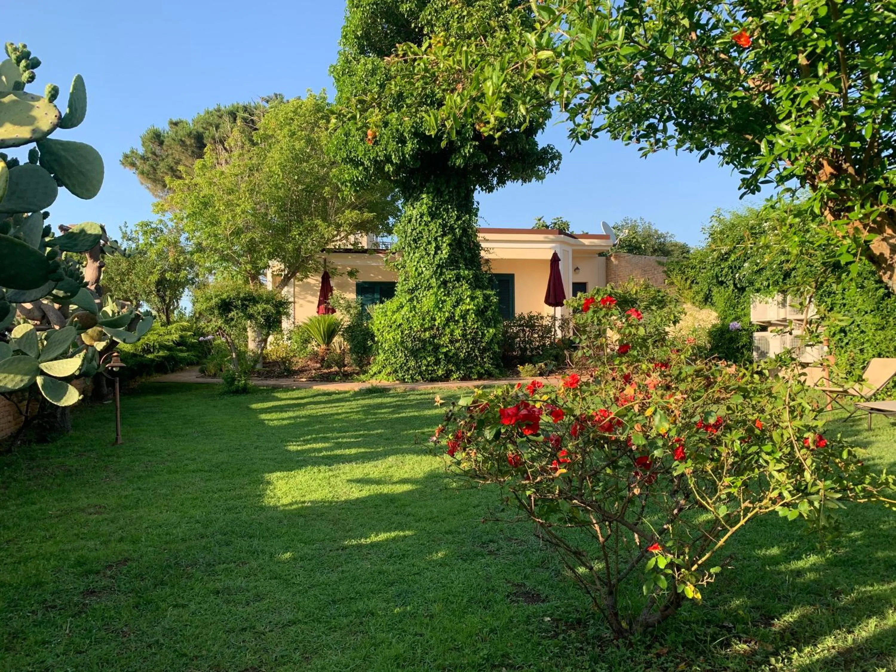 Garden in Villino Eleonora
