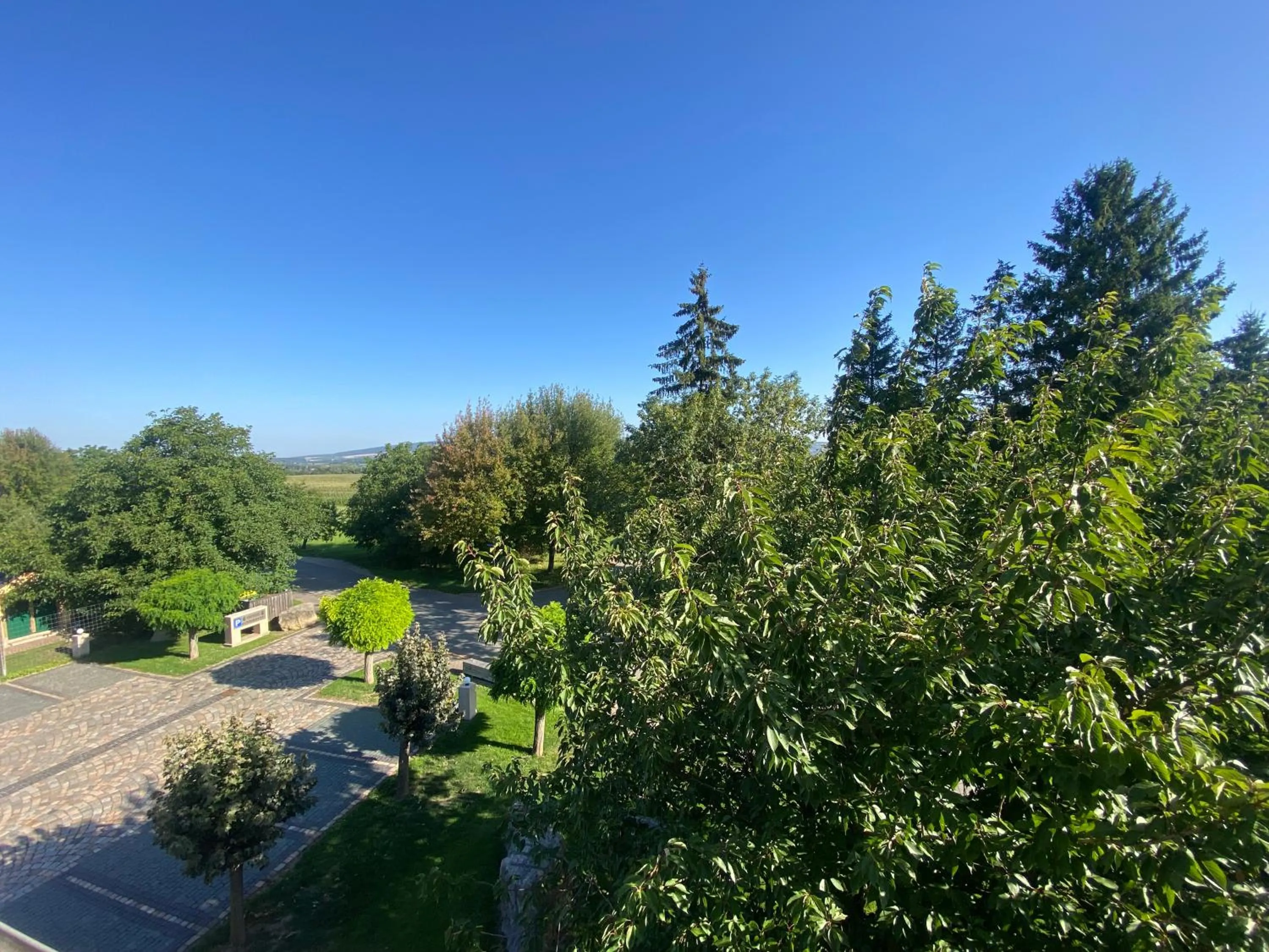 View (from property/room) in Hotel Schwartze