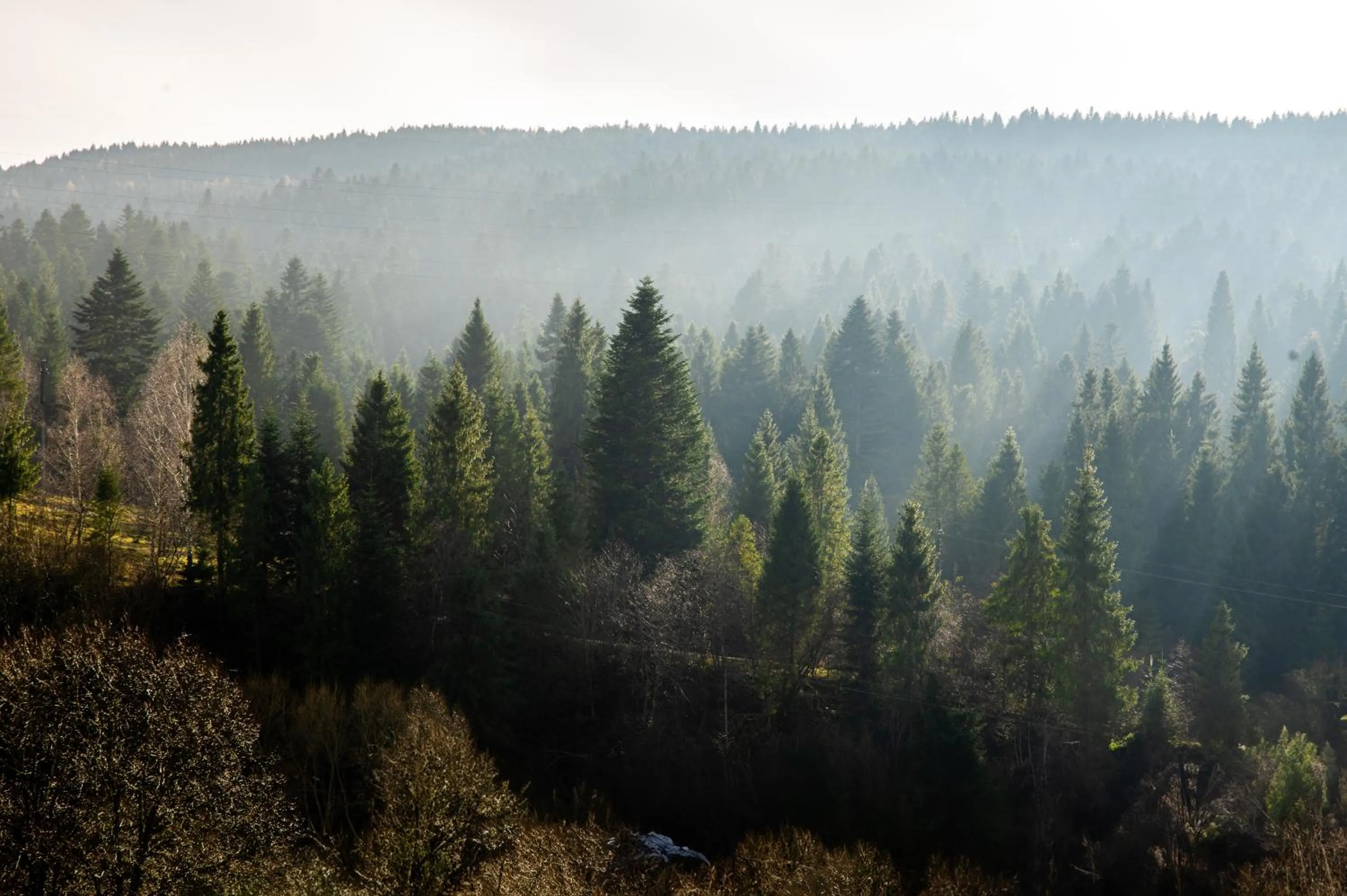 Kyivska Russ Resort Medical&Spa