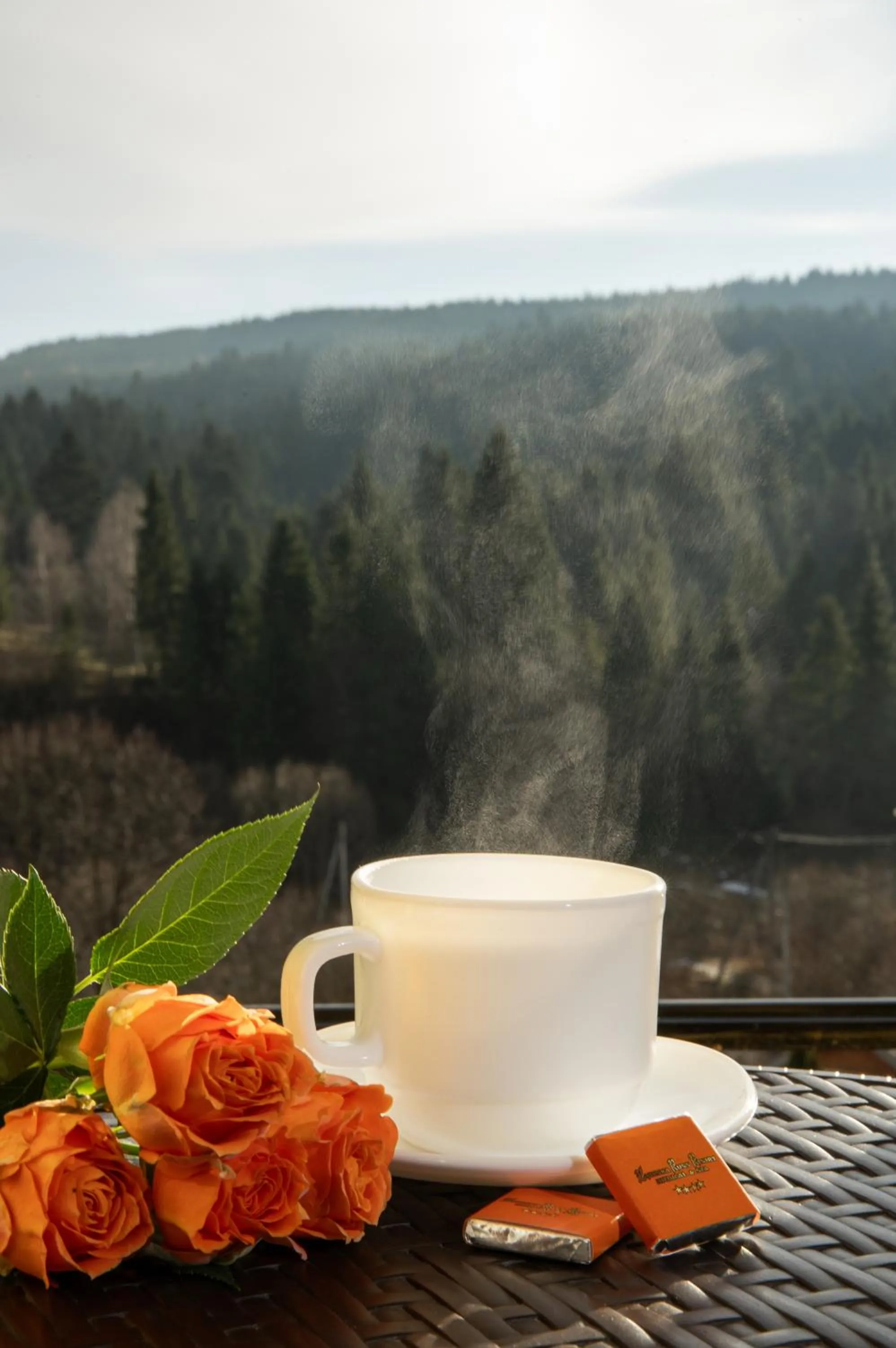 Kyivska Russ Resort Medical&Spa