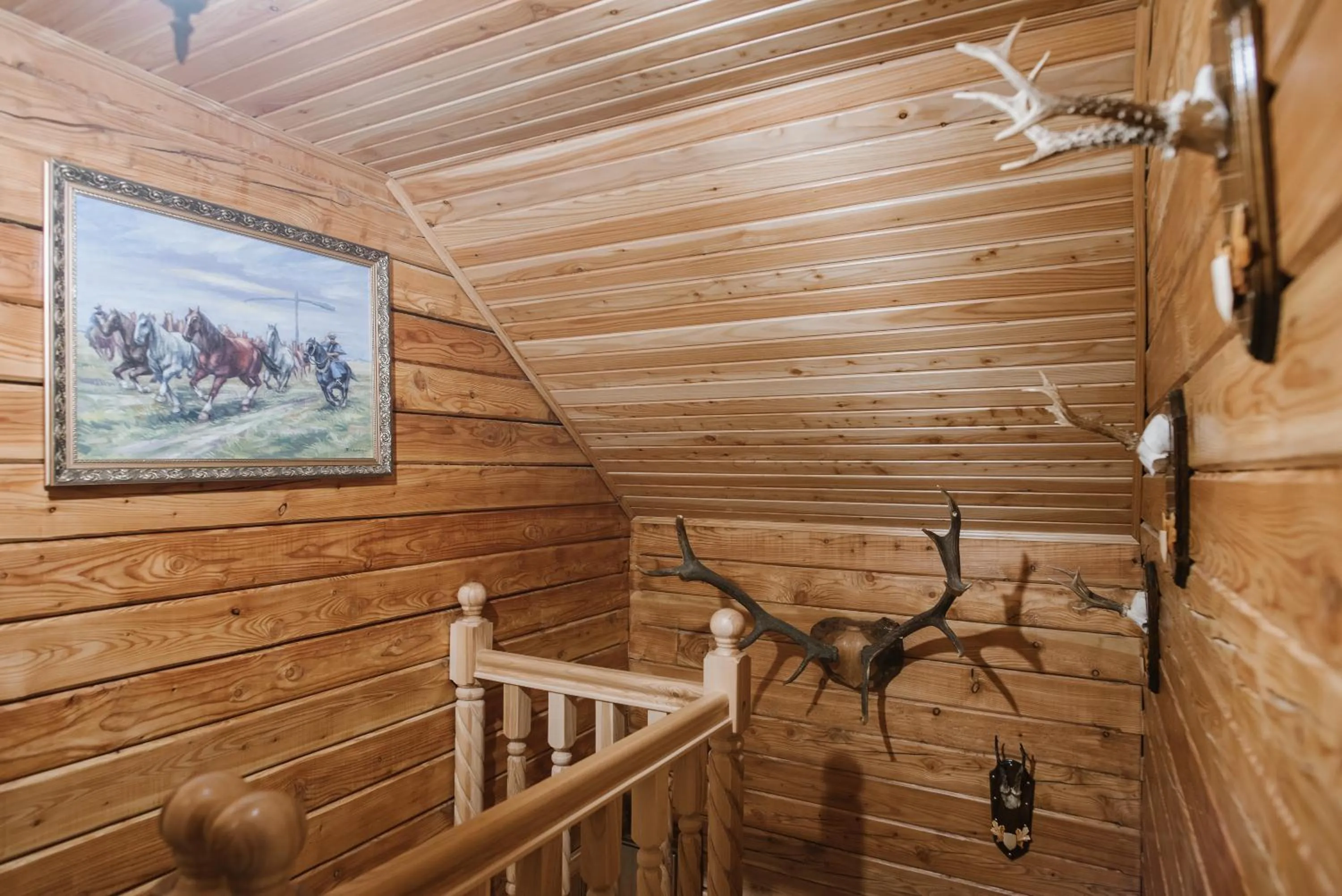 Kyivska Russ Resort Medical&Spa