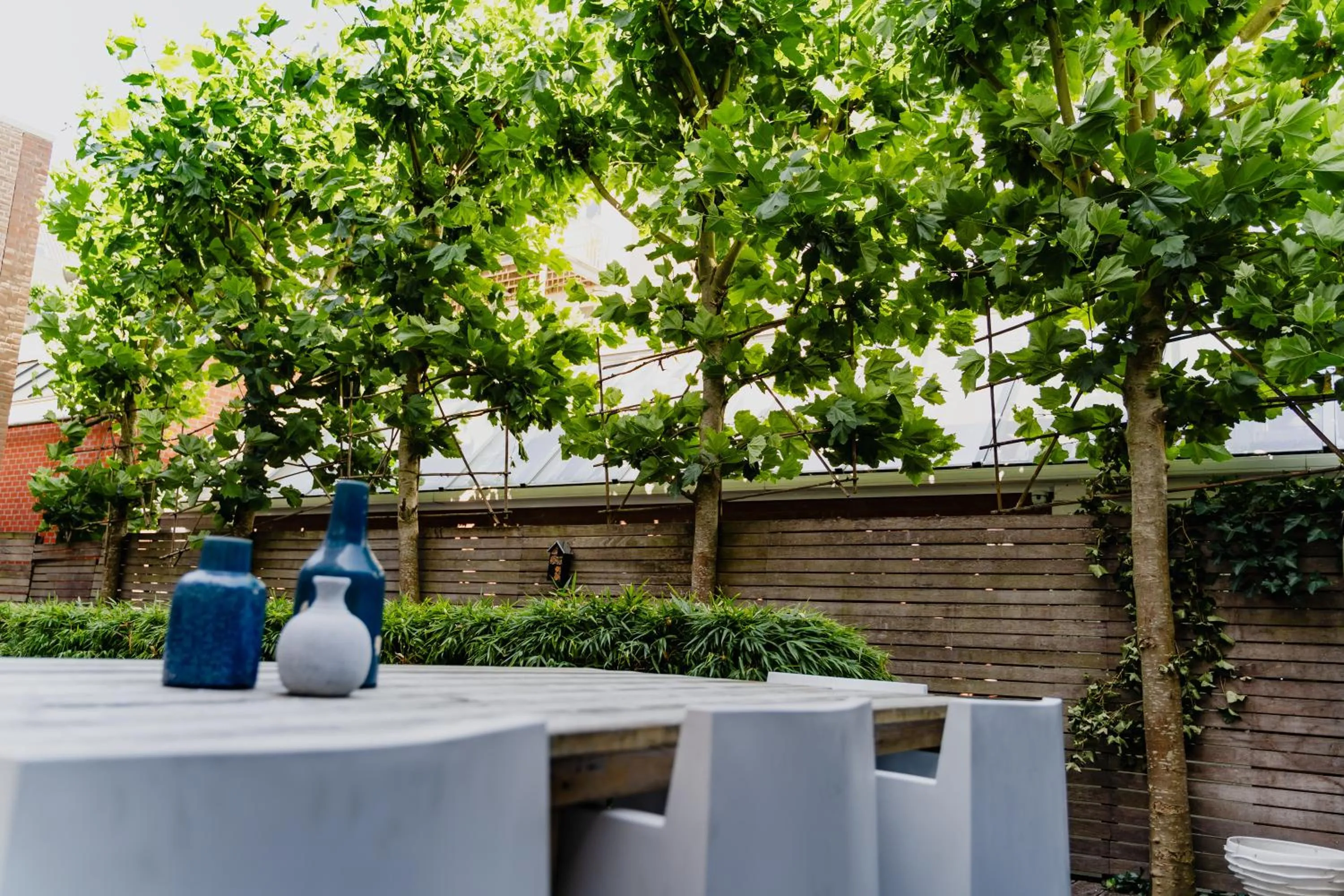 Garden in Hotel JL No76