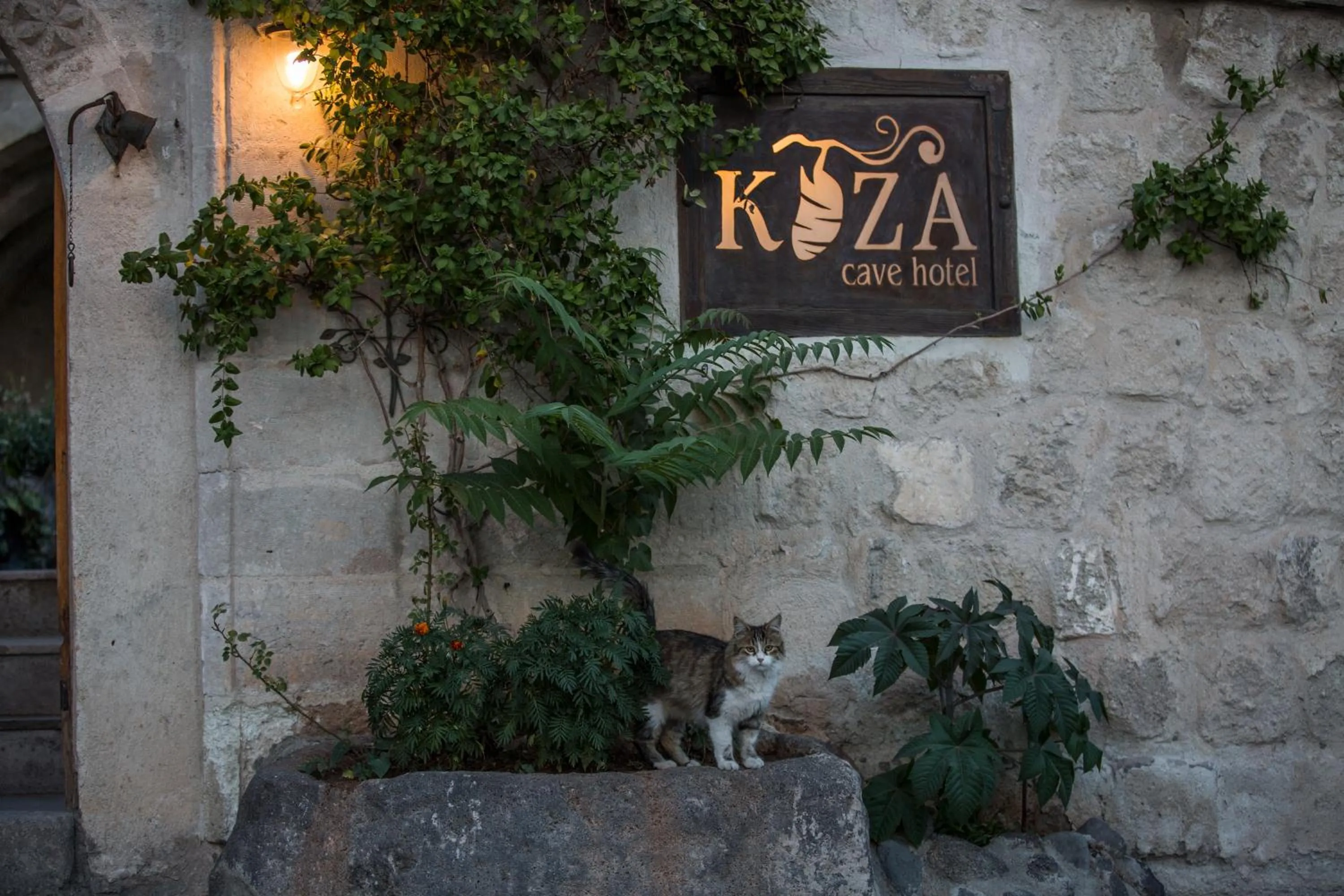 Koza Cave Hotel