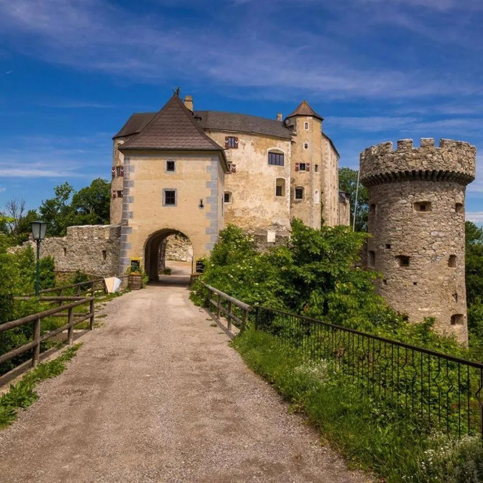 Property building in Burg Plankenstein