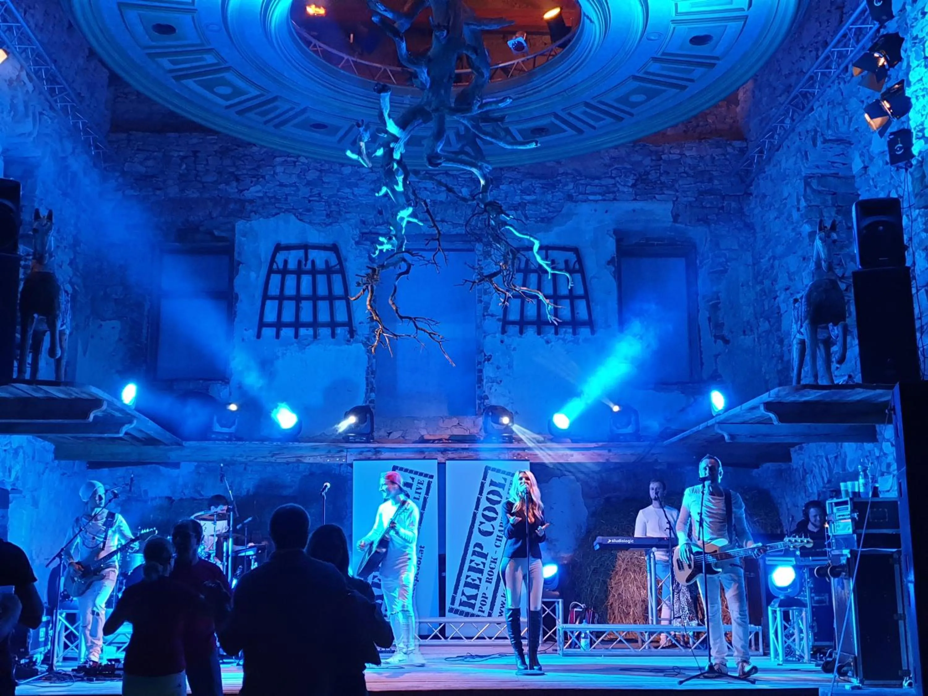 Banquet/Function facilities in Burg Plankenstein