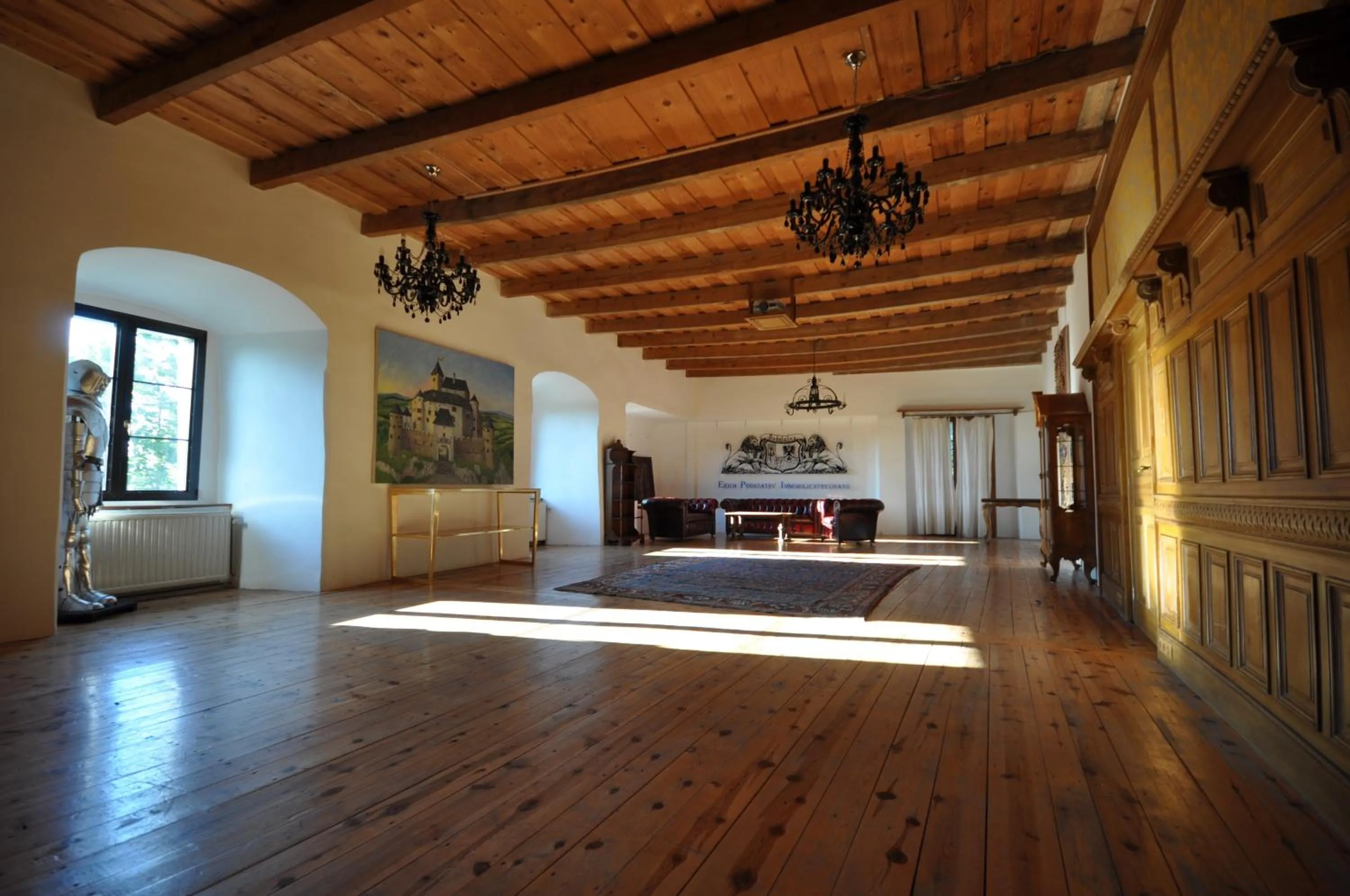Meeting/conference room in Burg Plankenstein
