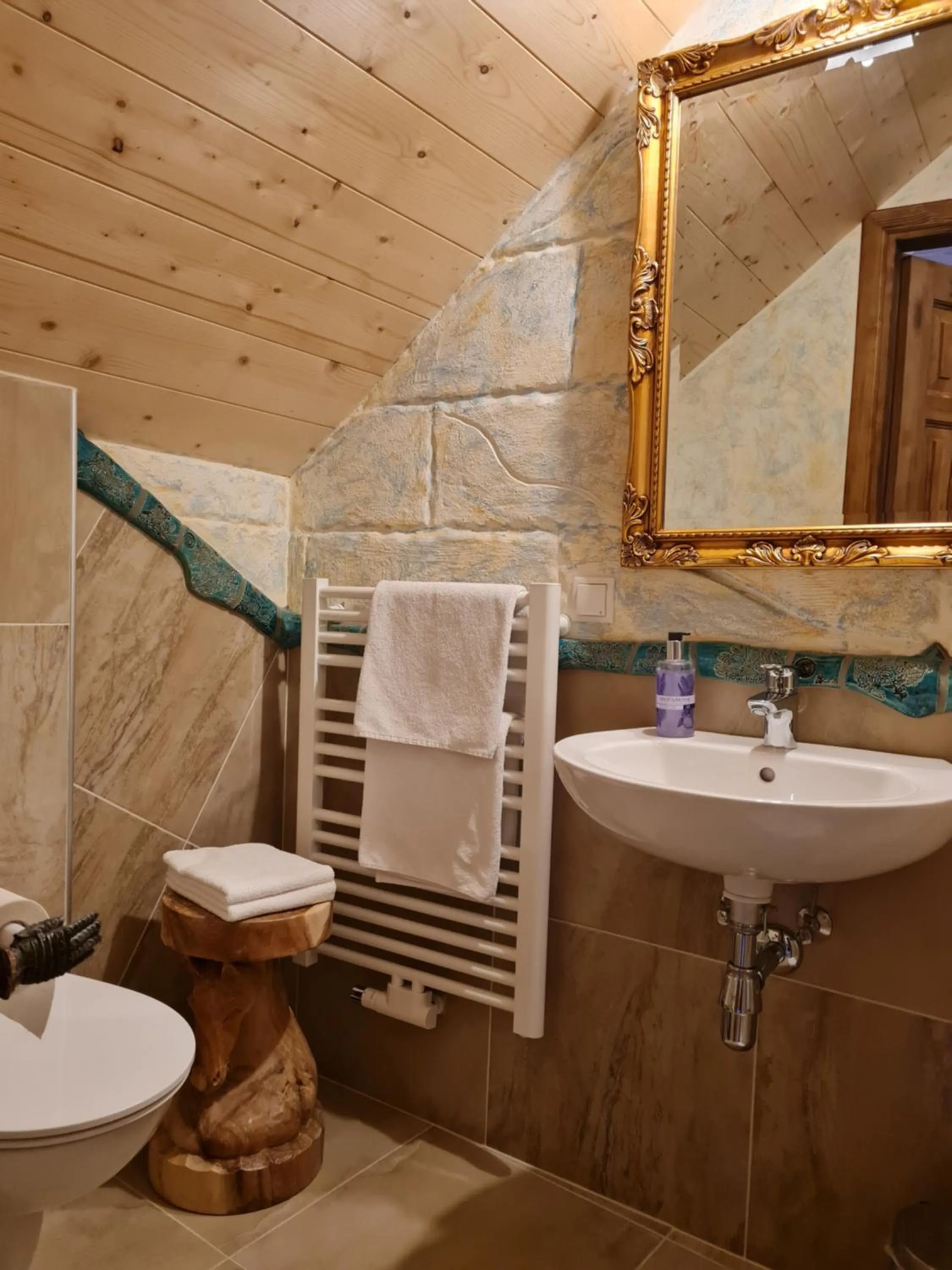 Bathroom in Burg Plankenstein