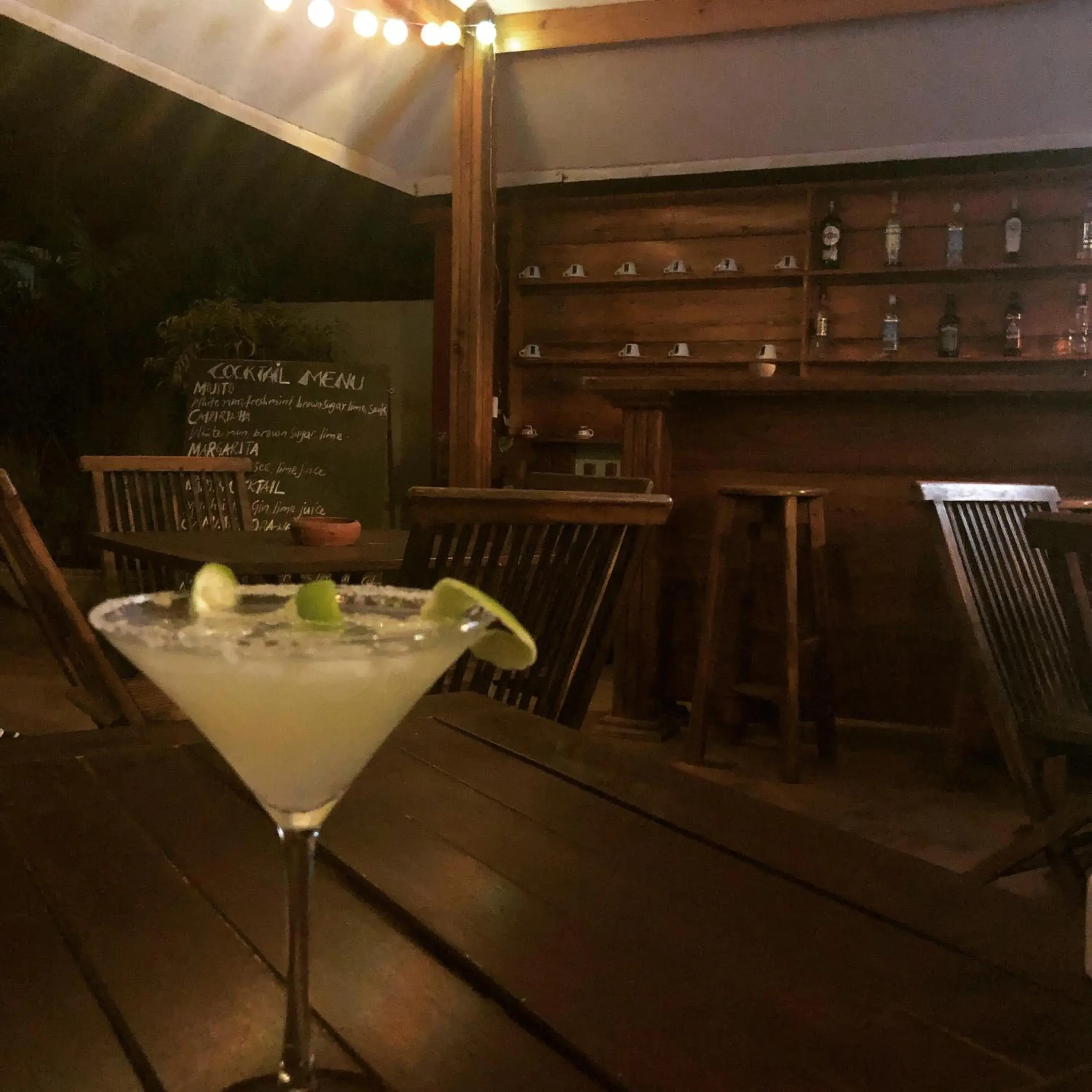 Green Turaco Green Turaco