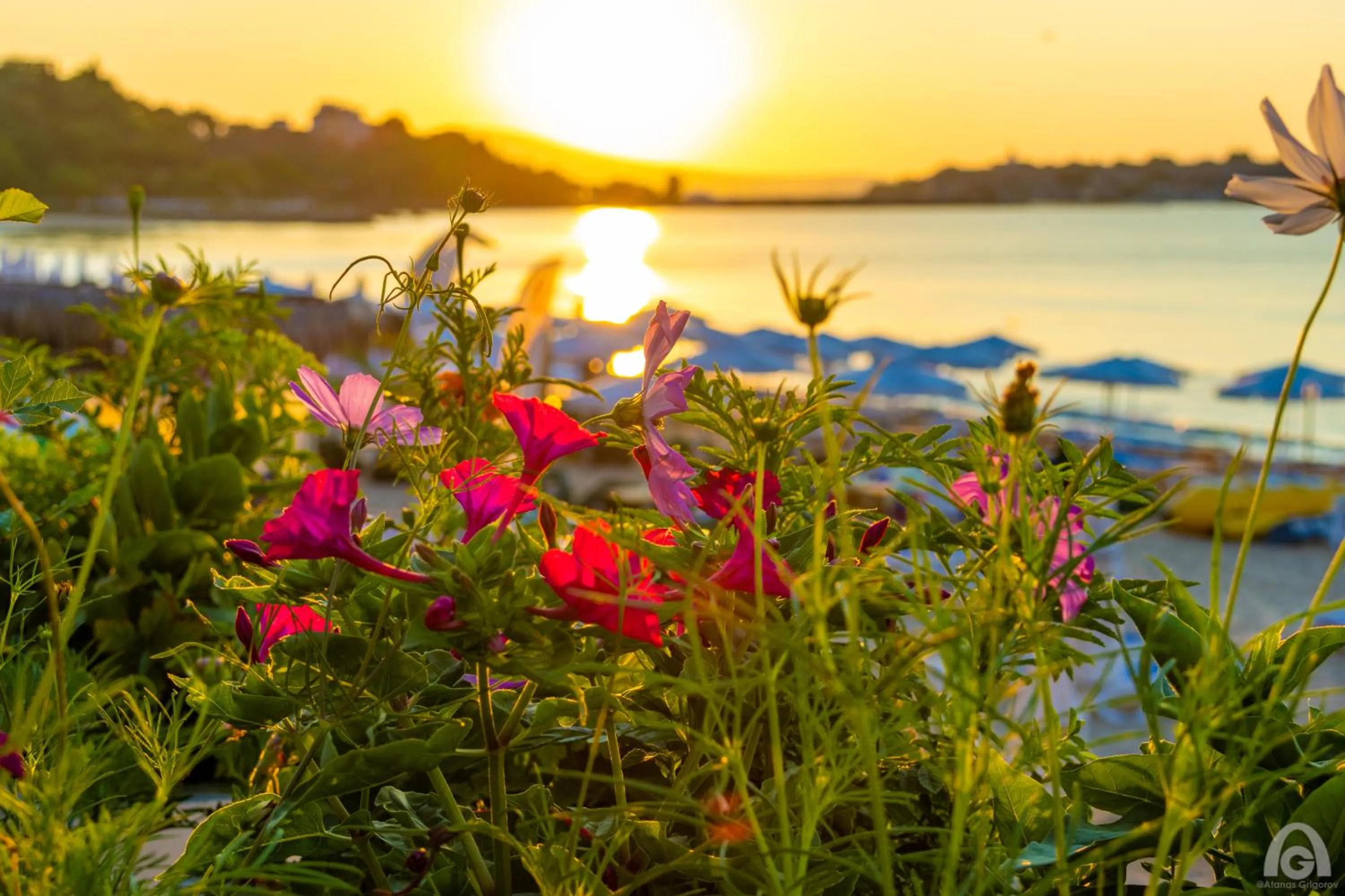 Aphrodite Beach Hotel